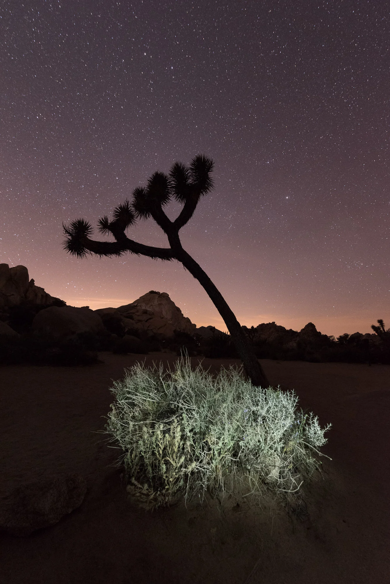 Joshua Tree National Park. 20 seconds, f/3.5, ISO 6400. Lingering twilight in the western sky combined with light painting on the foreground.
