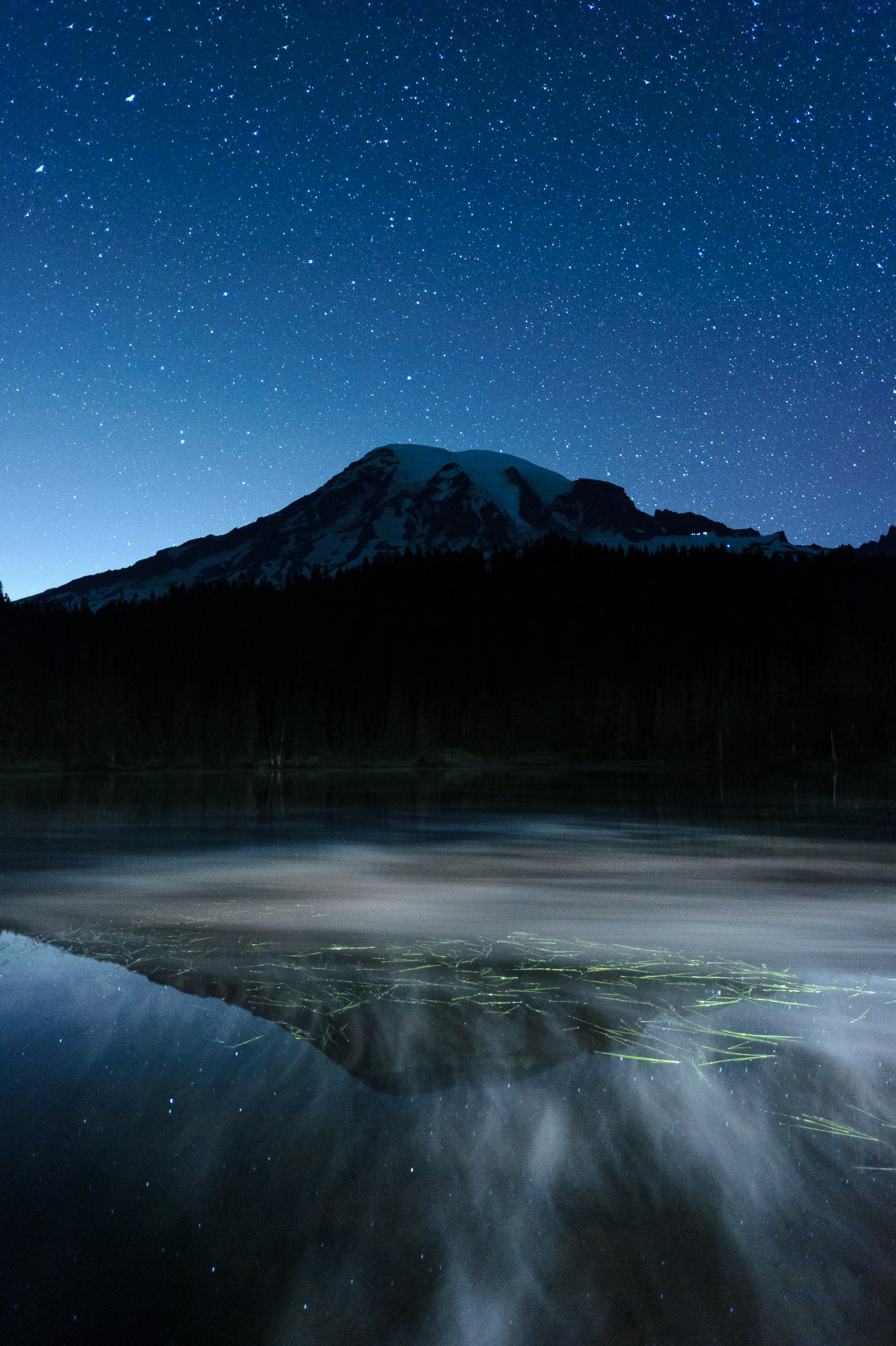 MountRainier_Nicholson_DSC6745.jpg