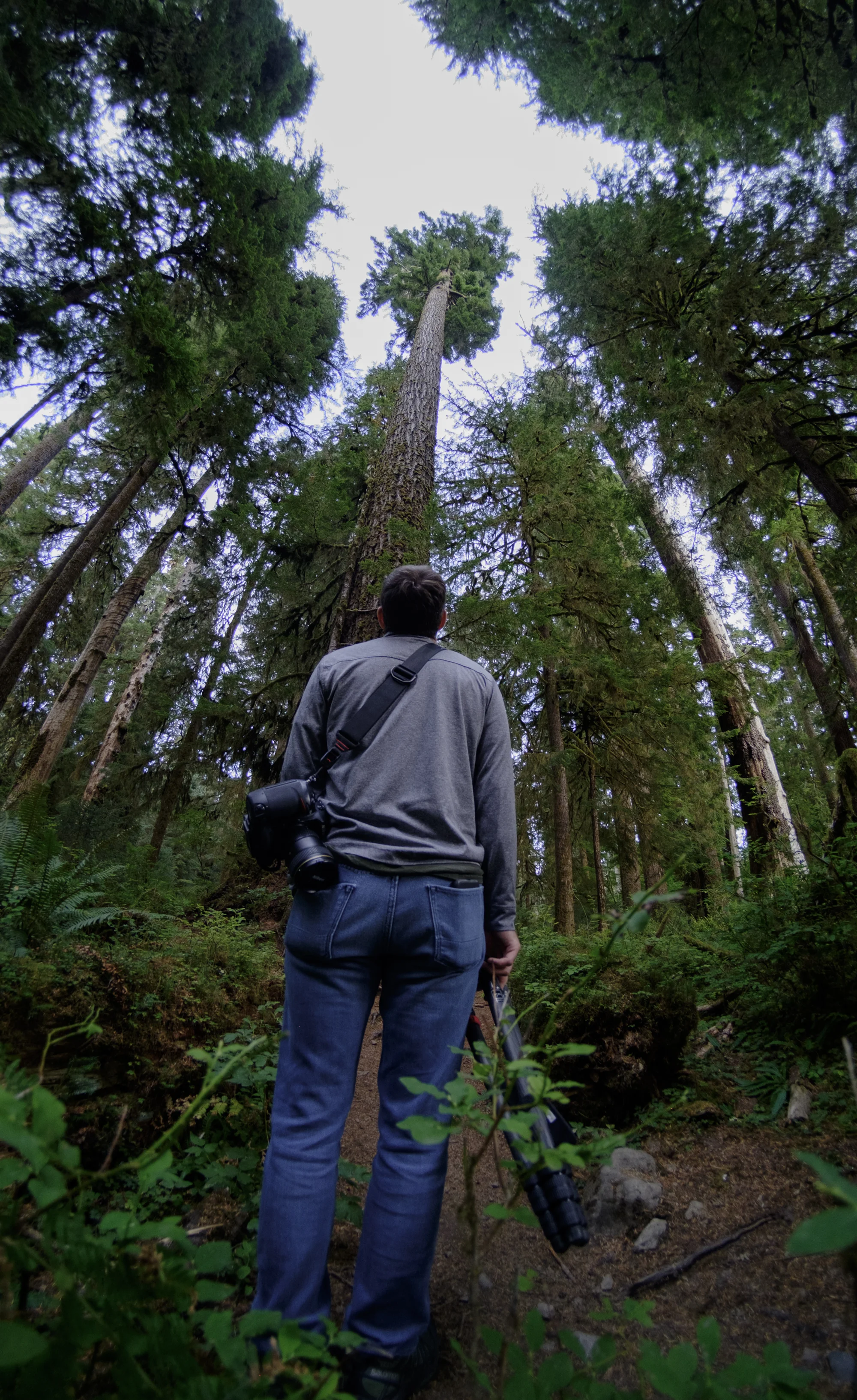 It’s not as far as it looks from here to there. Fujifilm XT-1 , 7Artisans 7.5mm f/2.8 lens. 1/60, f/2.8, ISO 1000.