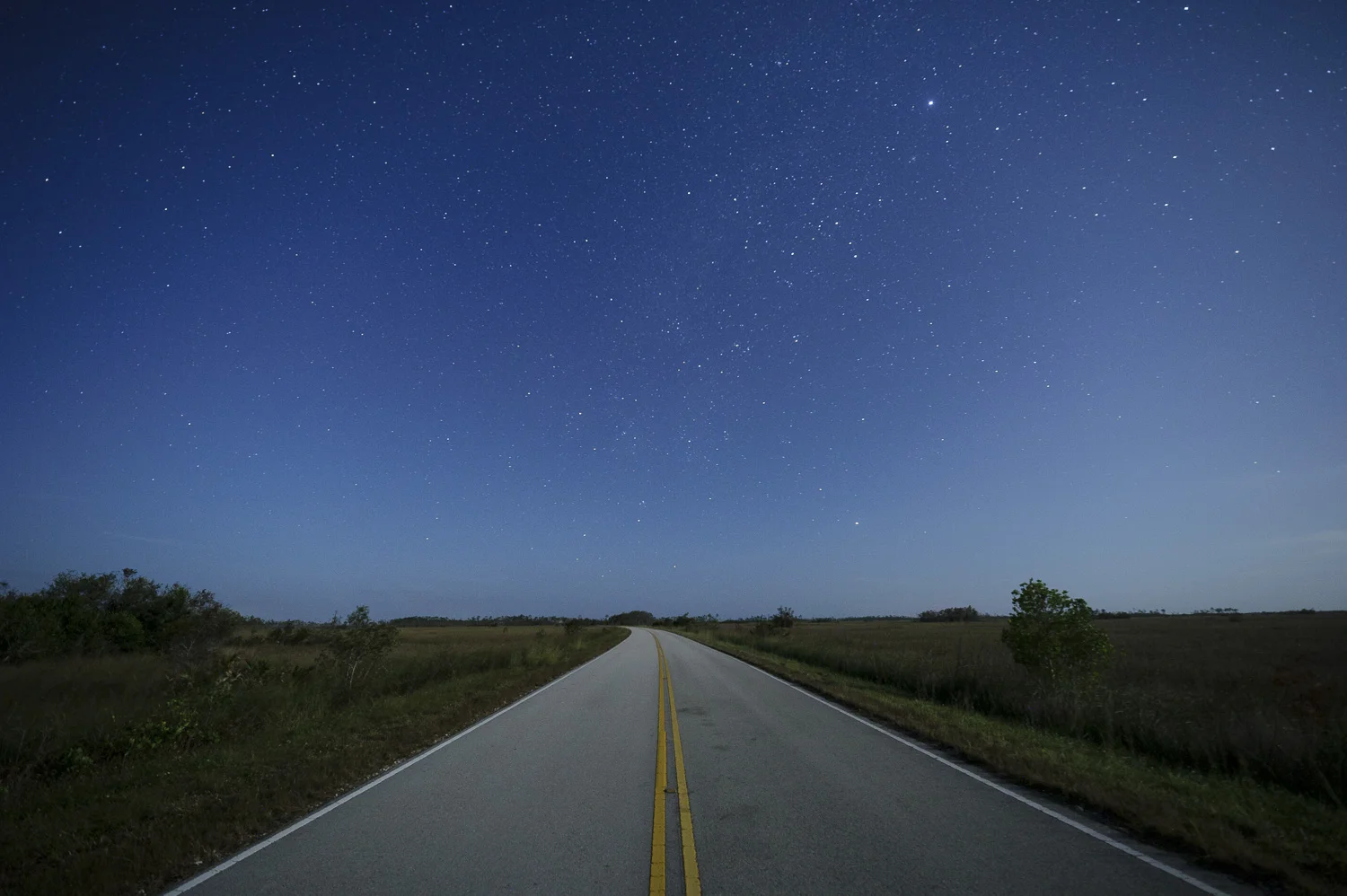 This past winter Chris Nicholson was able to drive in Everglades National Park without headlights—just the moonlight over the landscape was plenty to light the way. Photo by Chris Nicholson.