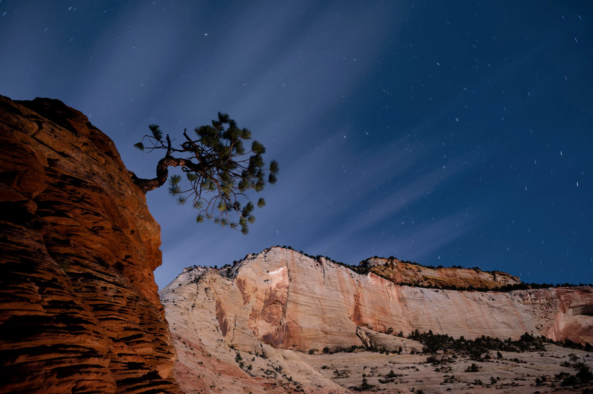 Moon as key light, flashlight as fill. Nikon D4s with 24mm f/2.8 lens. 3 minutes, F/5.6, ISO 200.
