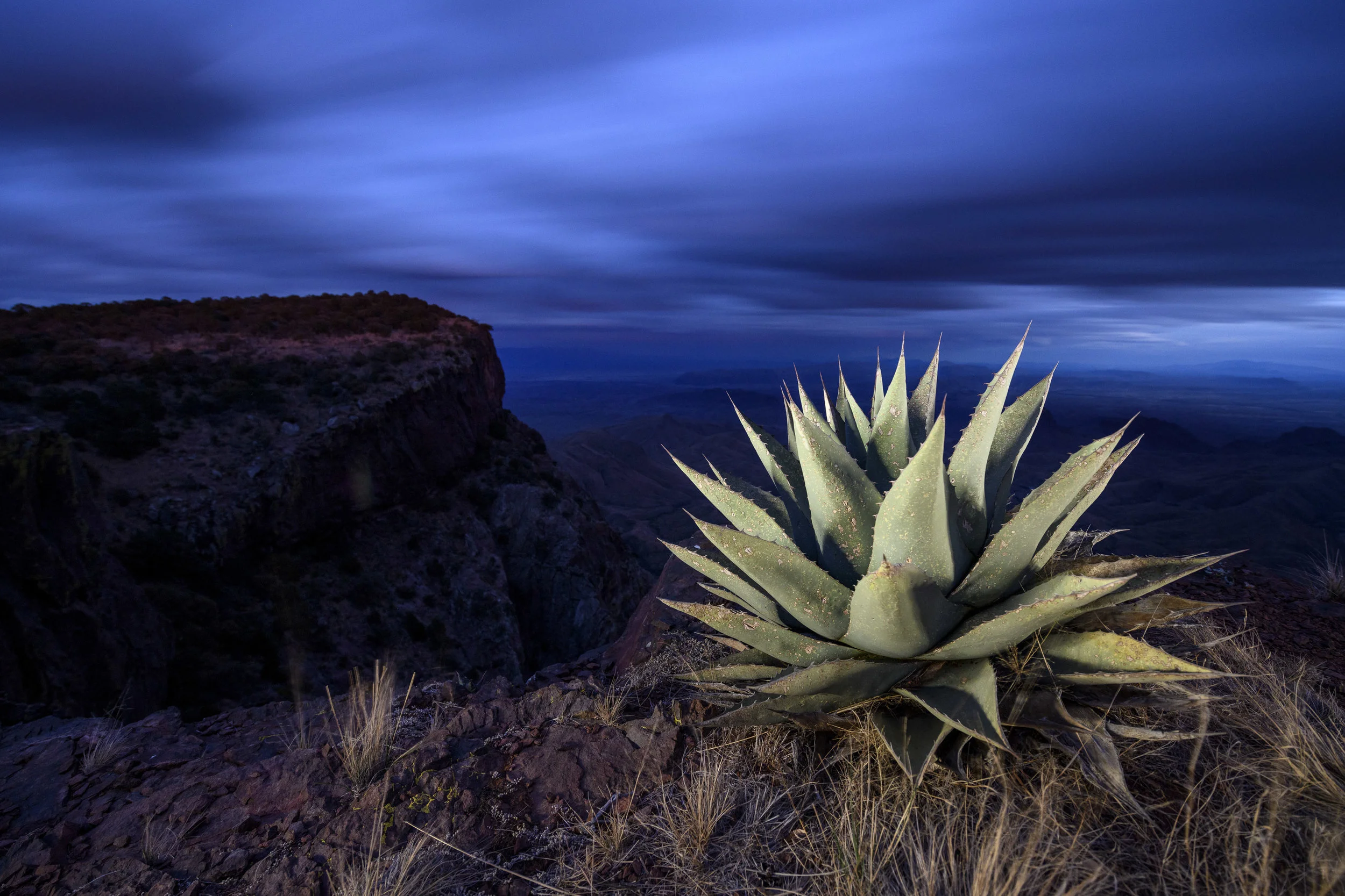 Agave on the South Rim, Big Bend National Park. Nikon D850 , Nikon 14-24mm f/2.8 . 2 minutes, f/5, ISO 1000. Light painted with a Coast HP7R. © 2018 Chris Nicholson.