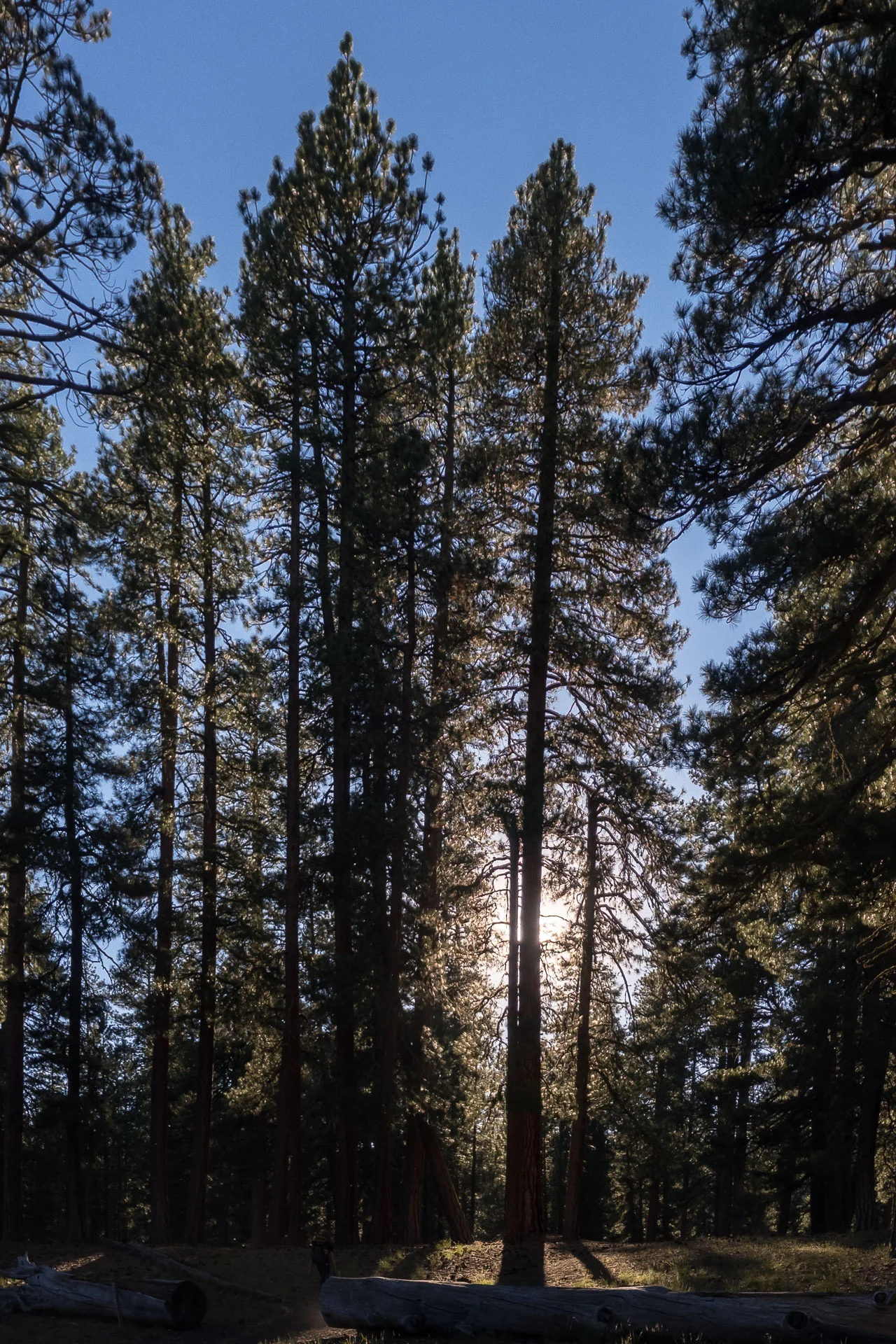 APC_4951-hdr.jpg