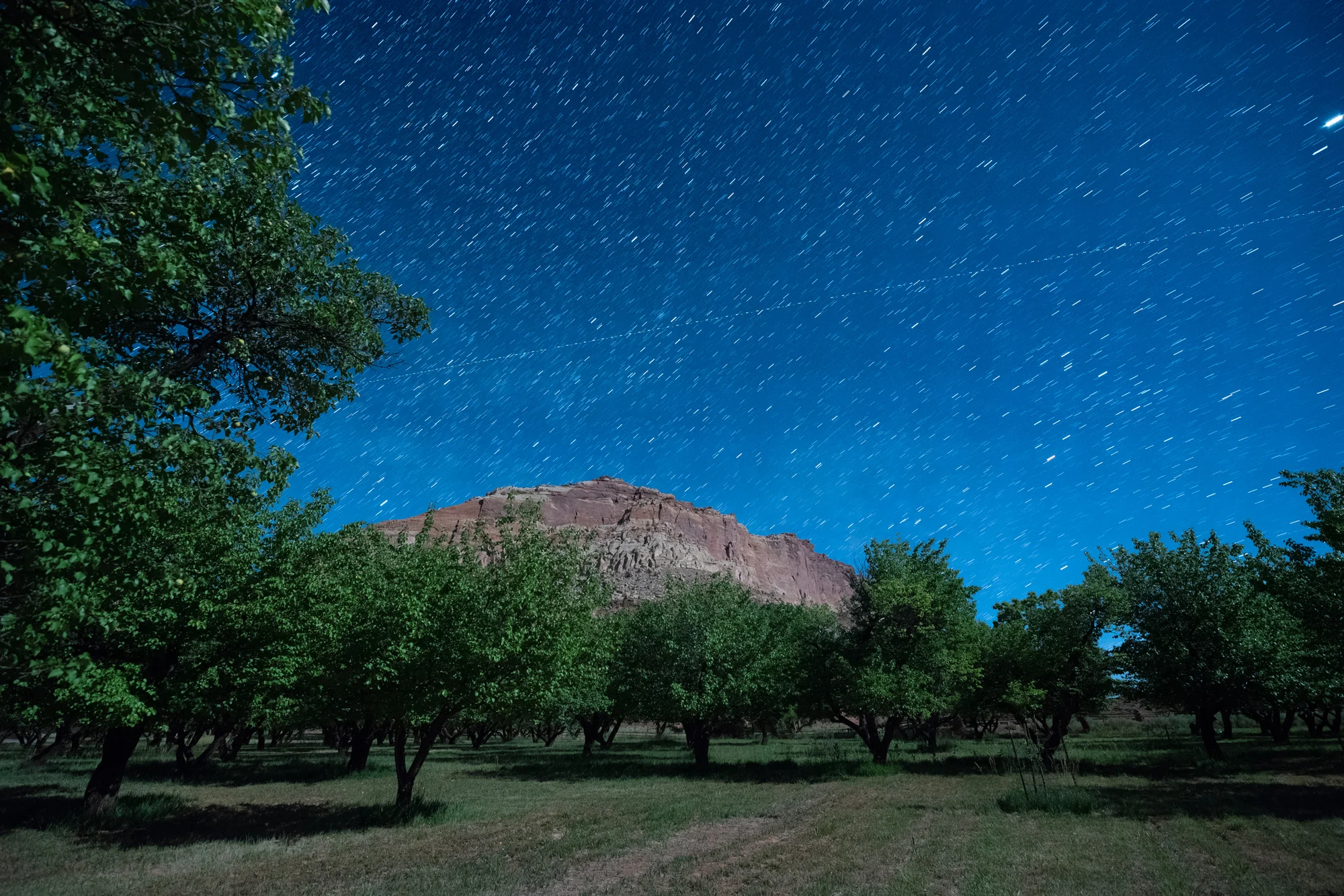 Nikon D750 with a Zeiss 15mm Distagon f/2.8 lens. Six exposures at 30 seconds, f/5.6, ISO 6400.