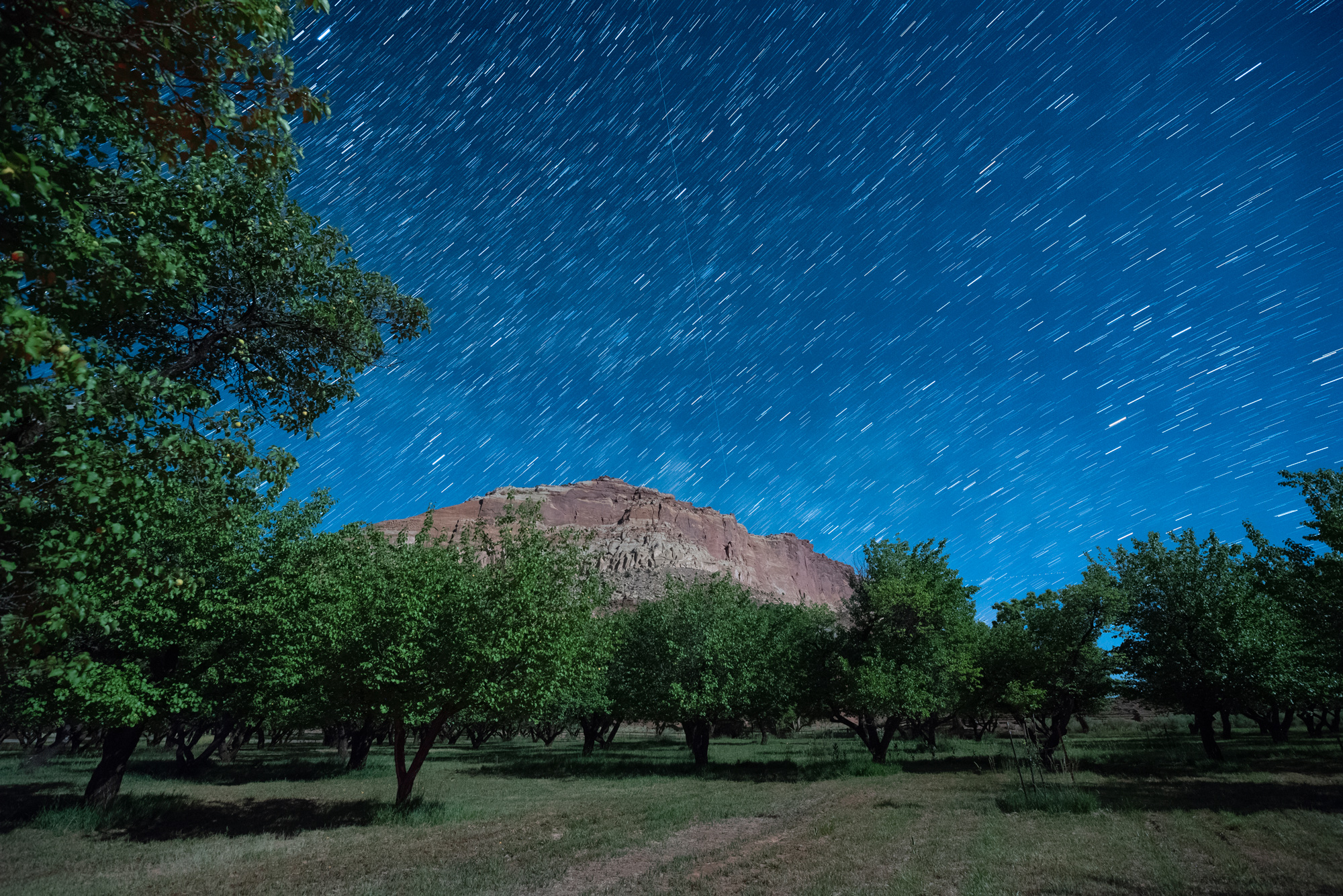 Nikon D750 with a Zeiss 15mm Distagon f/2.8 lens. Ten exposures at 30 seconds, f/5.6, ISO 6400.