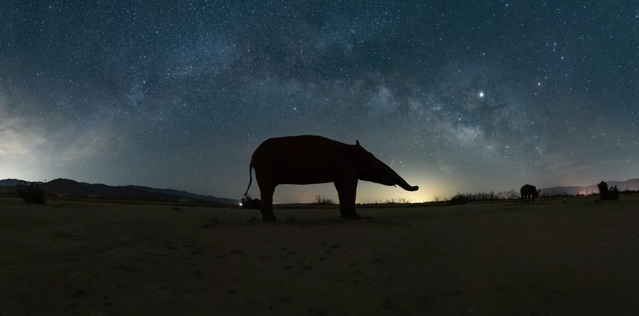 Lost and Found in the California Desert: A Tripod and Ball Head Find Their Way Home