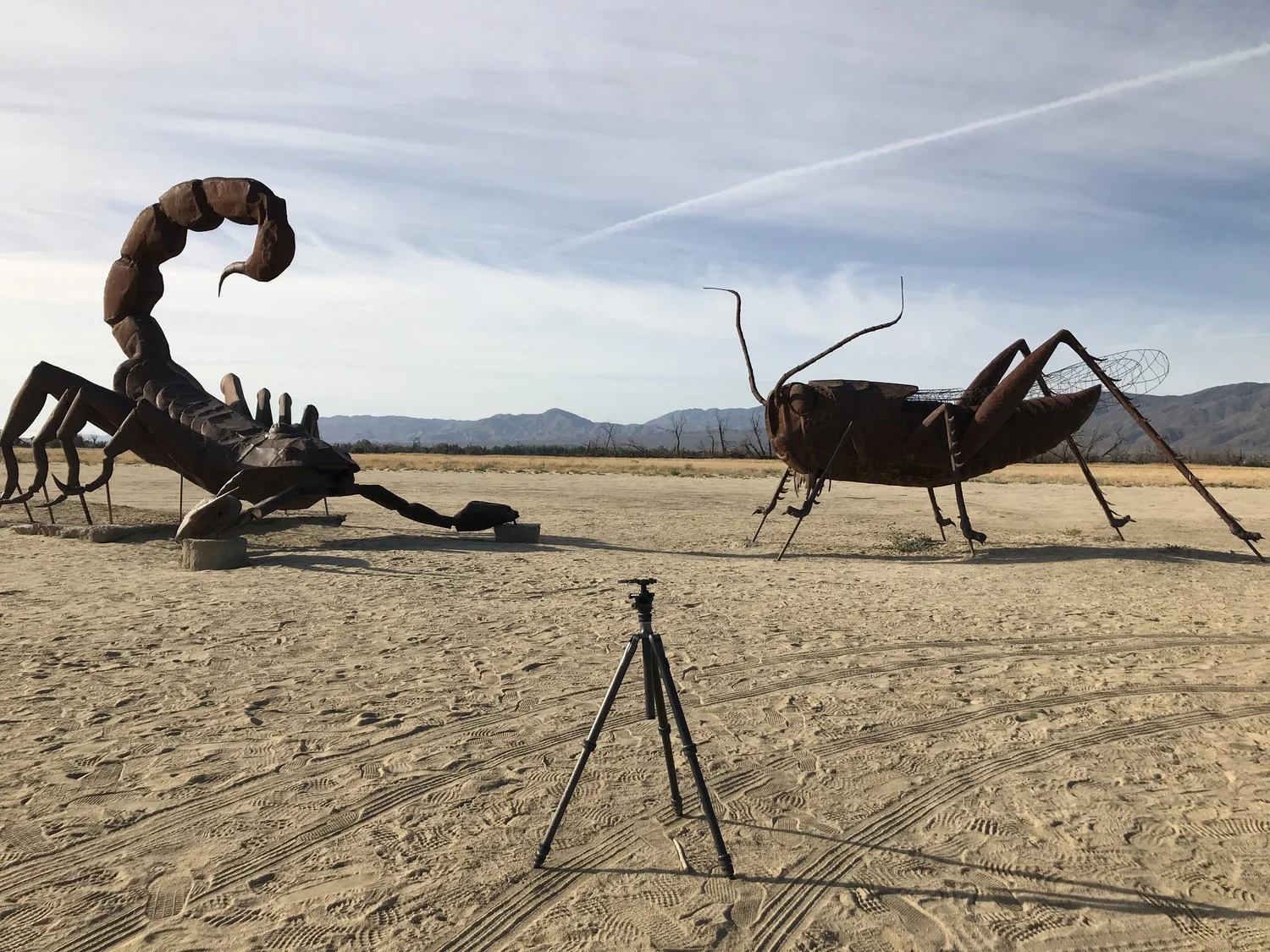 Poor Little Lost Tripod. © 2019 Aeon Jones .