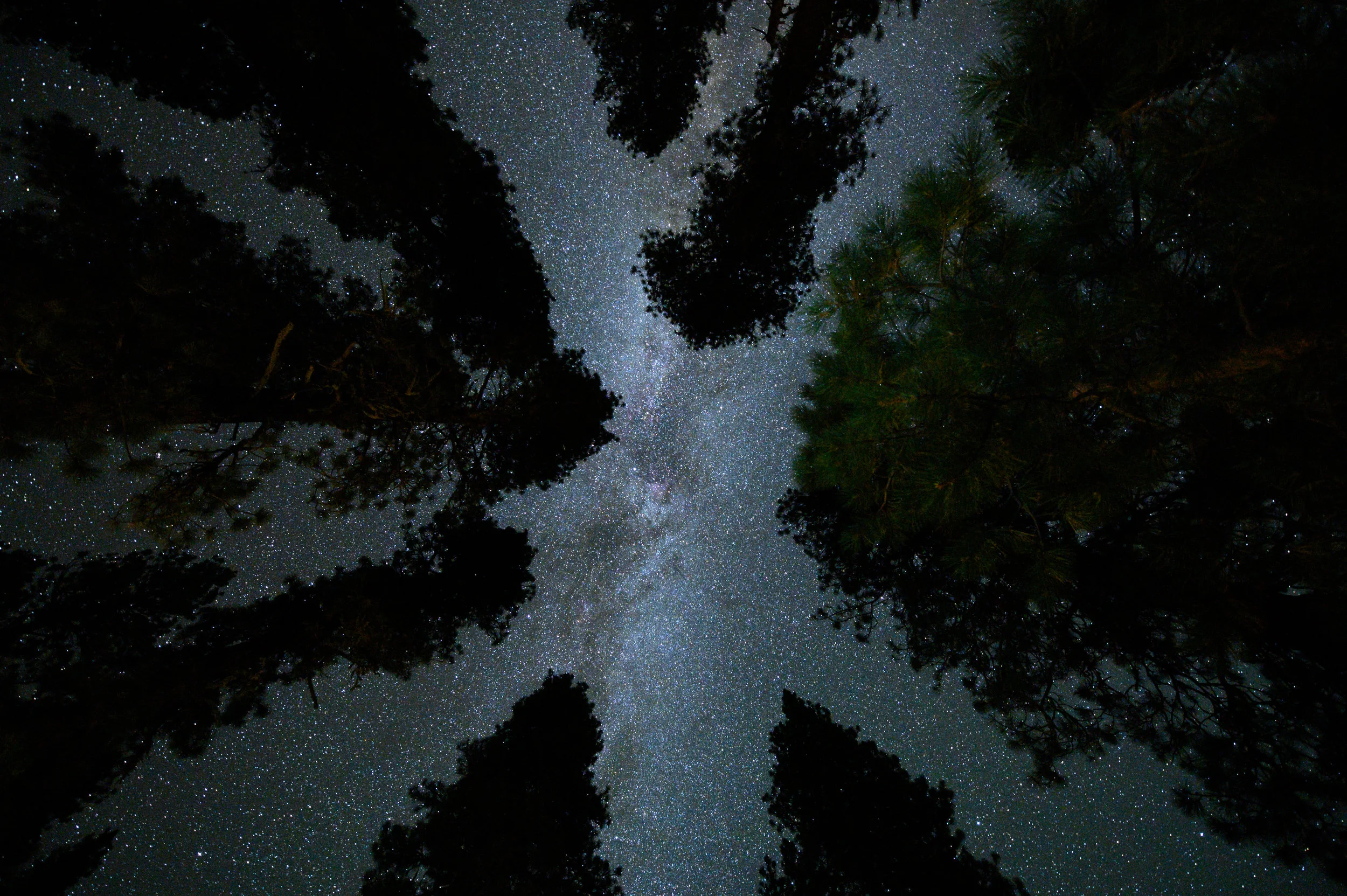 The Z 6 is the Best Camera for Night Photography