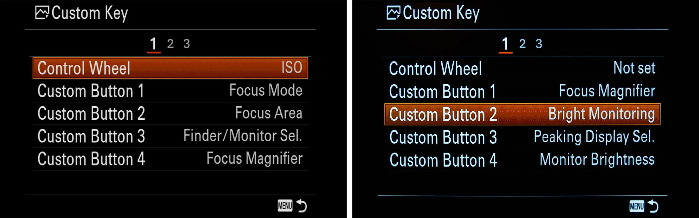 sony-custom-buttons_Bright Monitoring.jpg