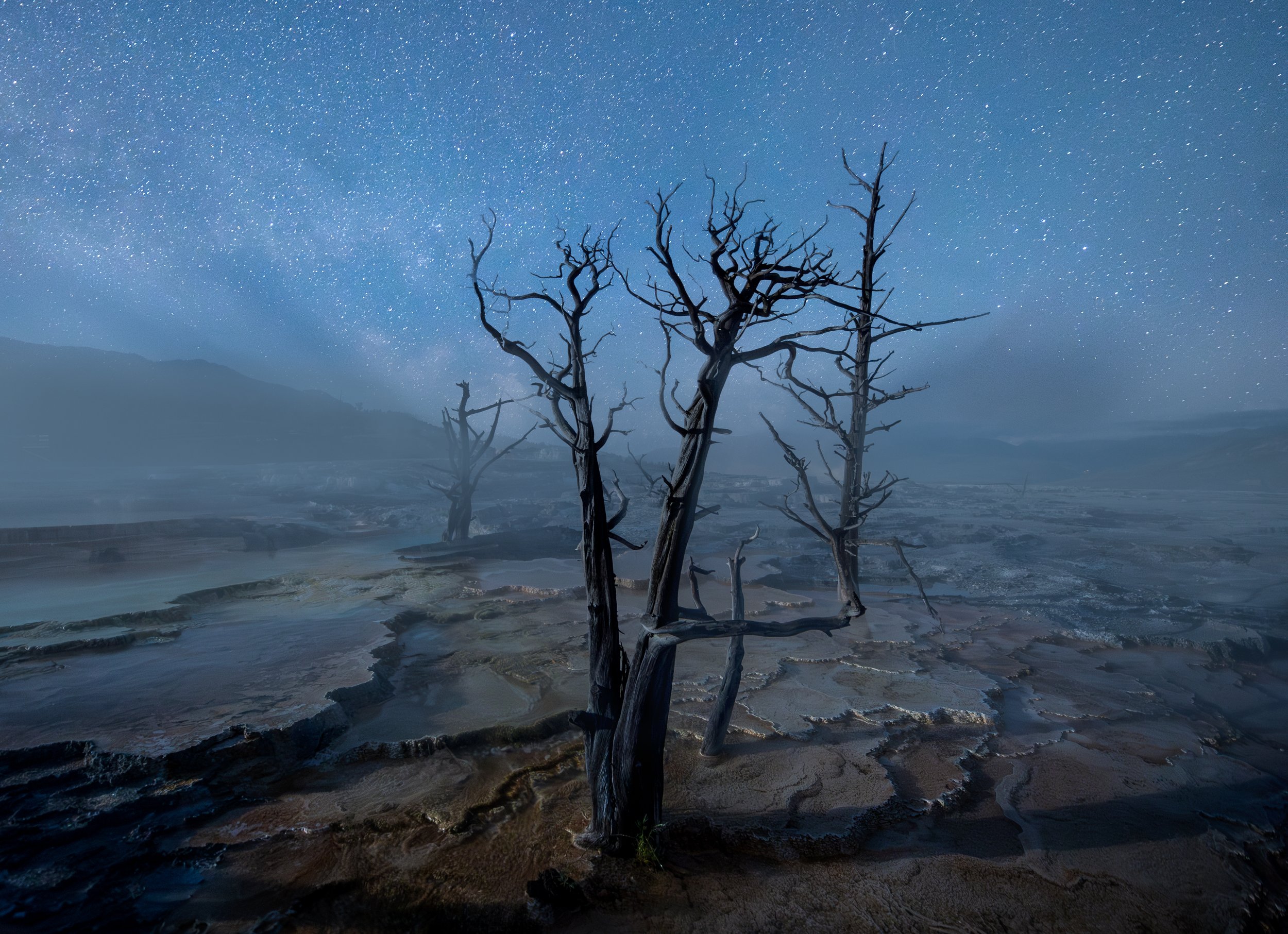 &lt;p&gt;&lt;strong&gt; Yellowstone National Park North &lt;/strong&gt;&lt;br/&gt; September 2-7, 2024 &lt;/p&gt;