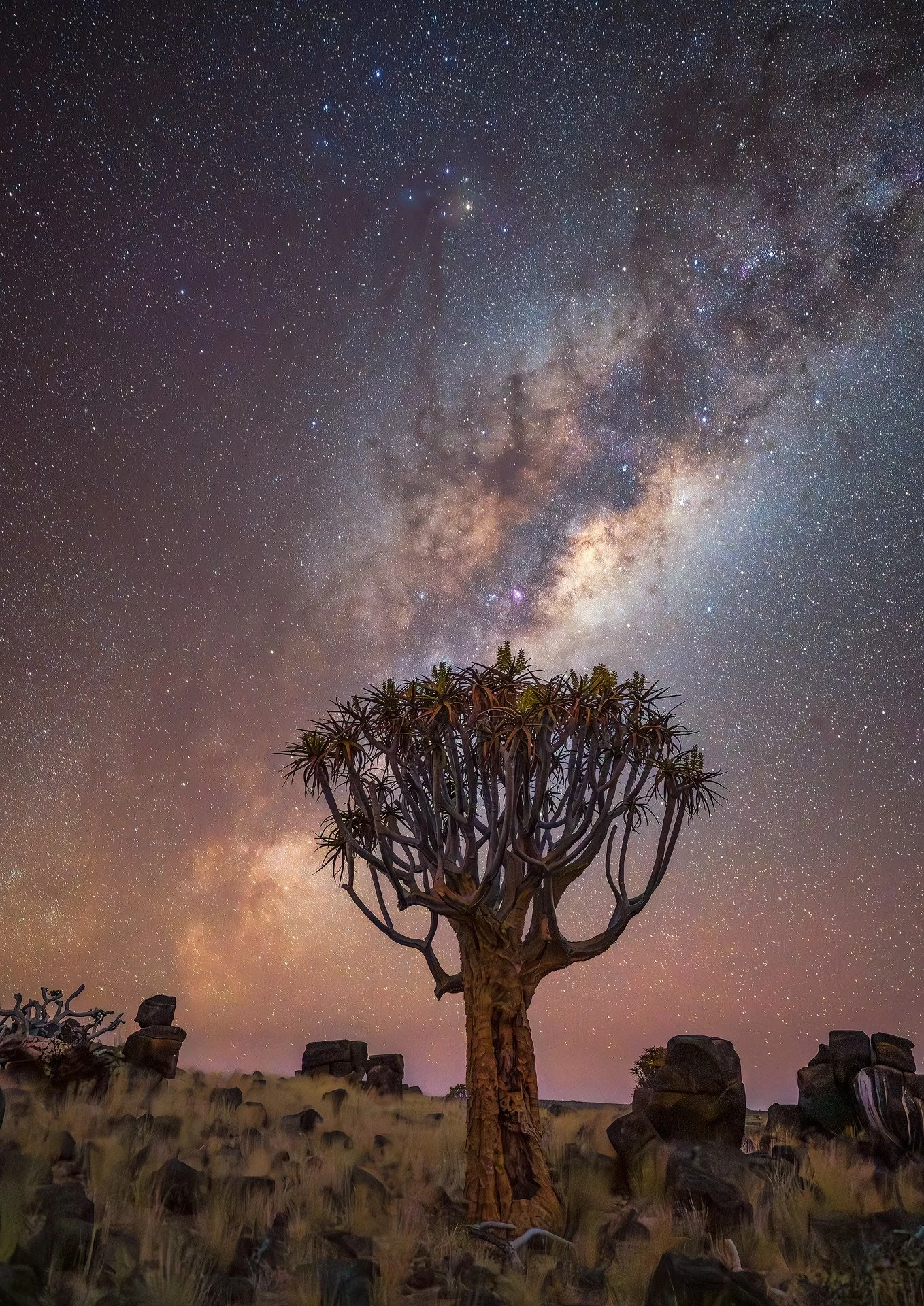 Namibia 2026
