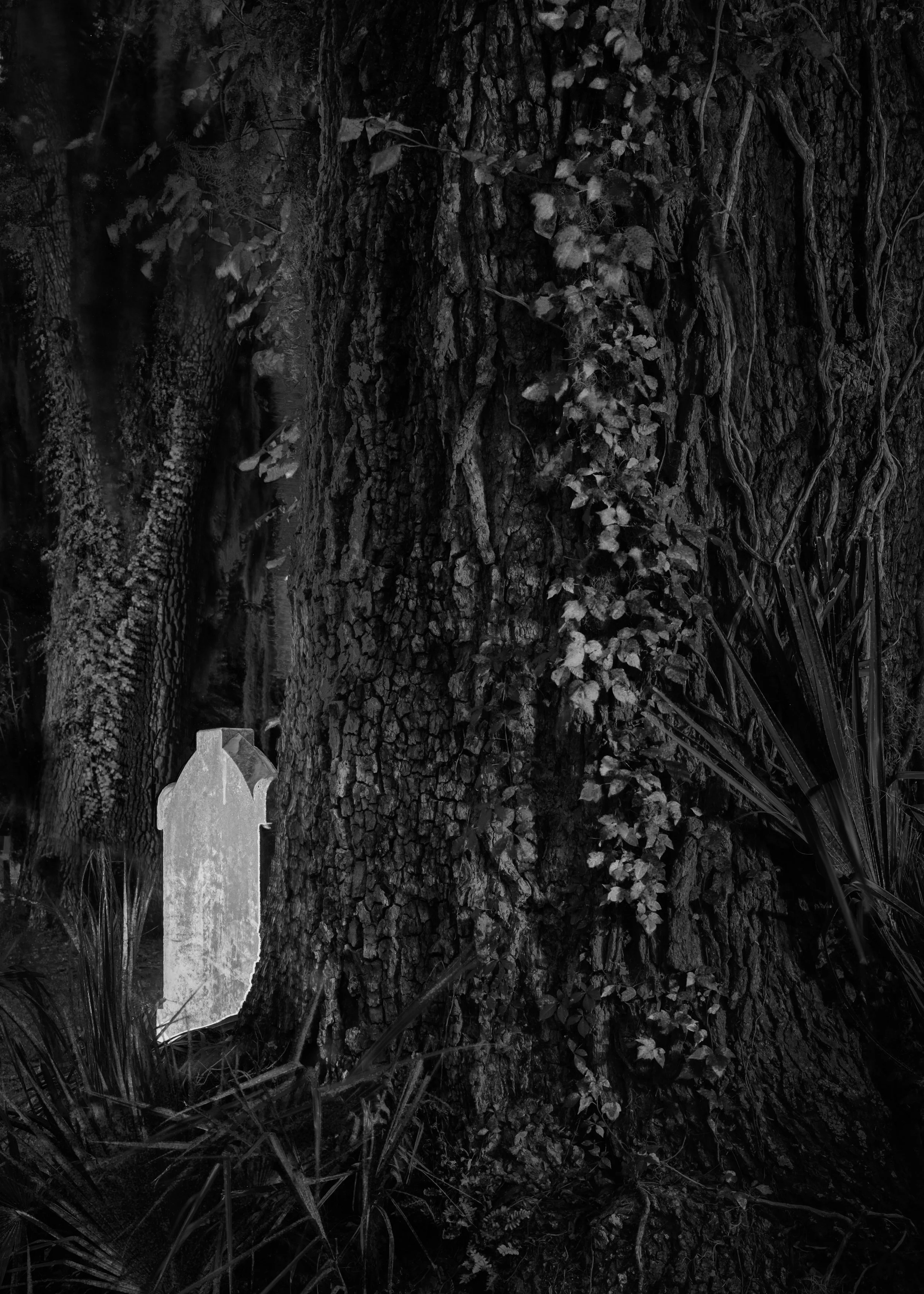 Forever Chasing The Night: Our Favorite Photos of 2025