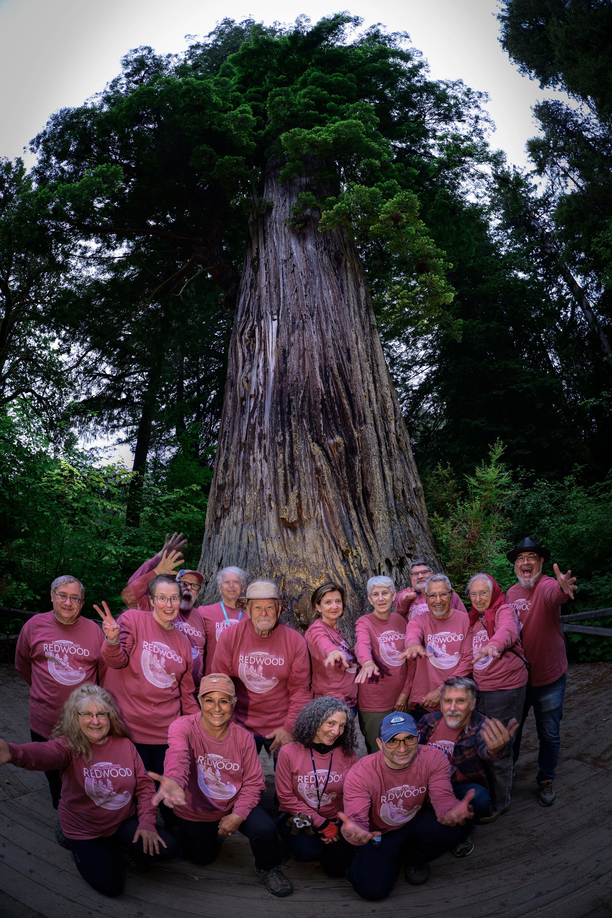 Redwood 2026