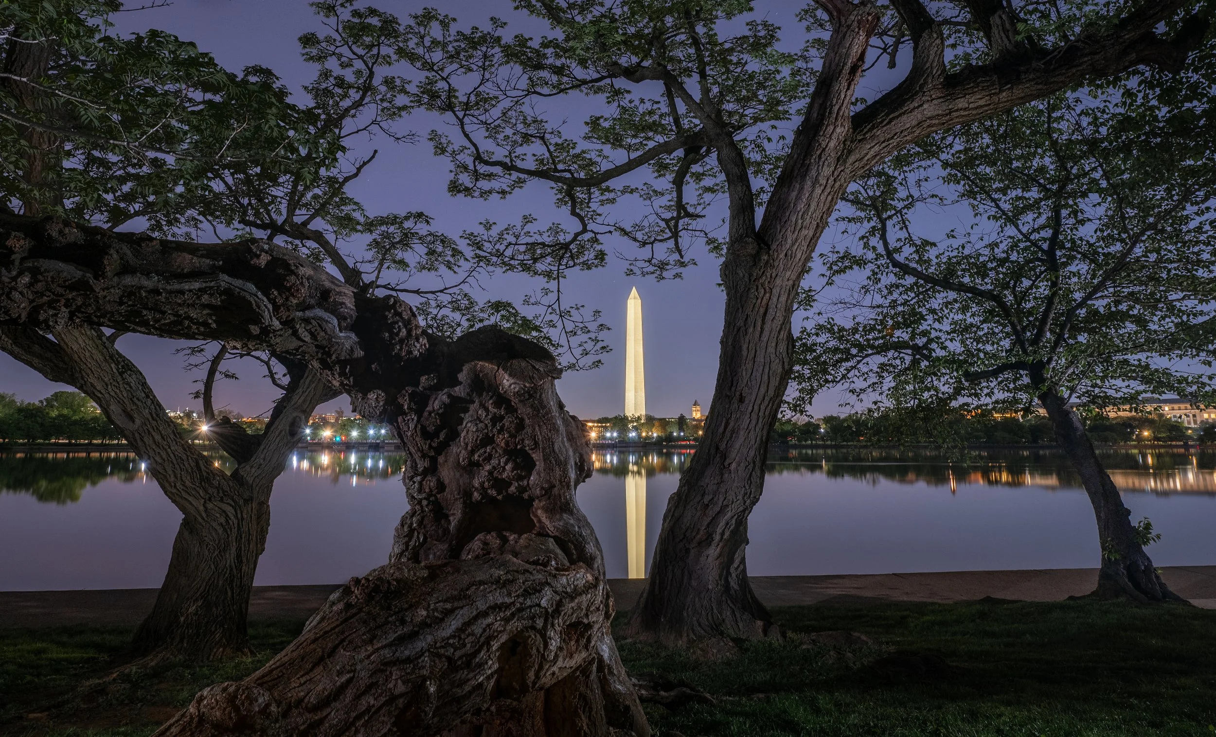 Washington D.C. 2026