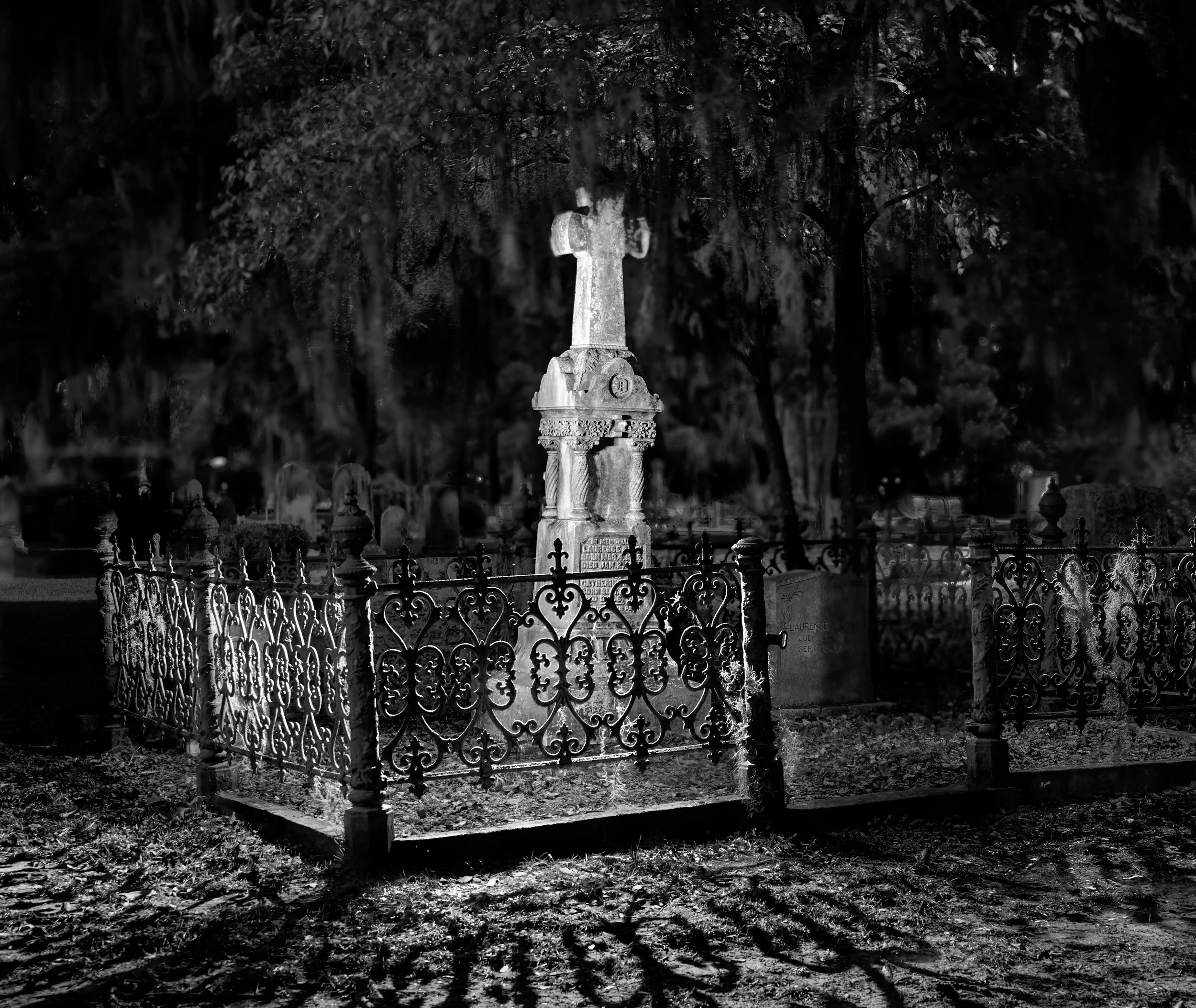 <p><strong> Savannah in Black & White </strong><br/> Nov 7-13, 2027 </p>