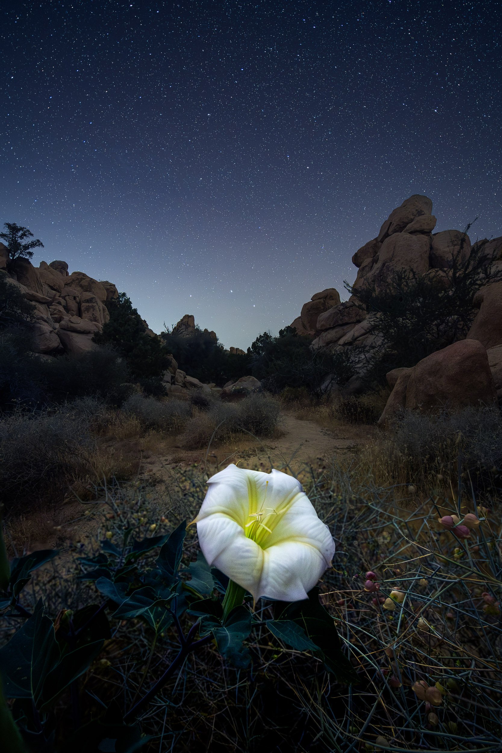 Peach Sky At Dusk Photograph by Christine Rivers - Pixels