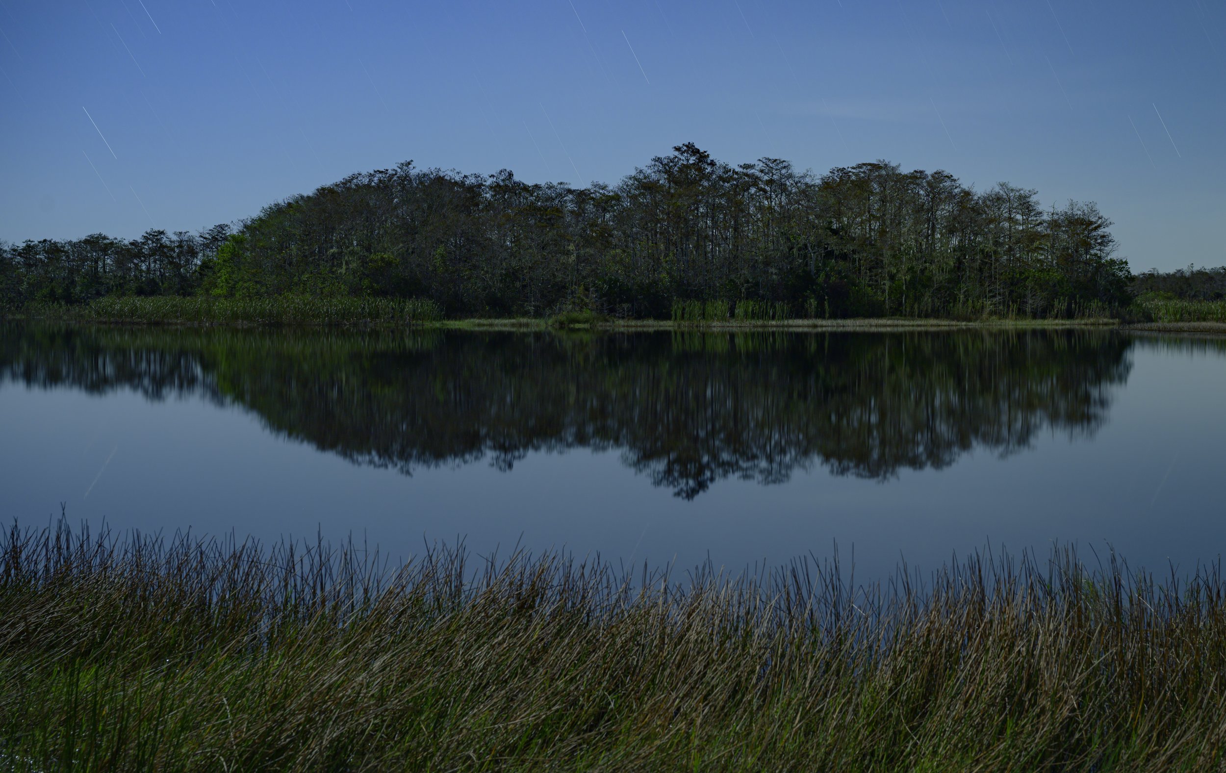 BigCypress_Z8-3768.jpg