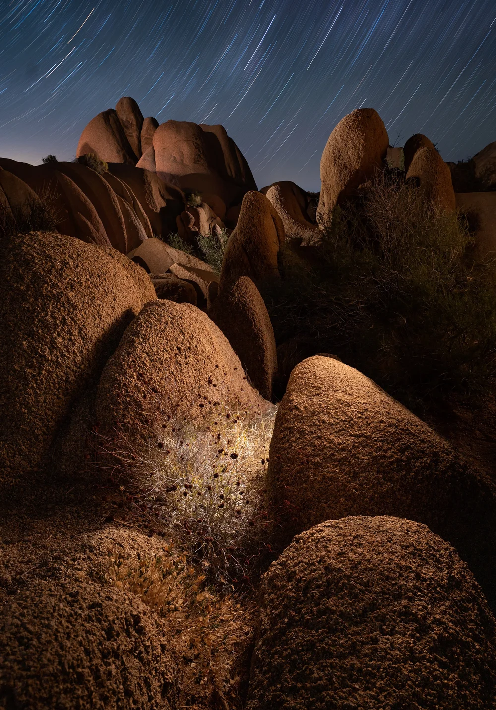 10 Pictures, 10 Tales: Our Favorite Night Photos of 2021 — National ...