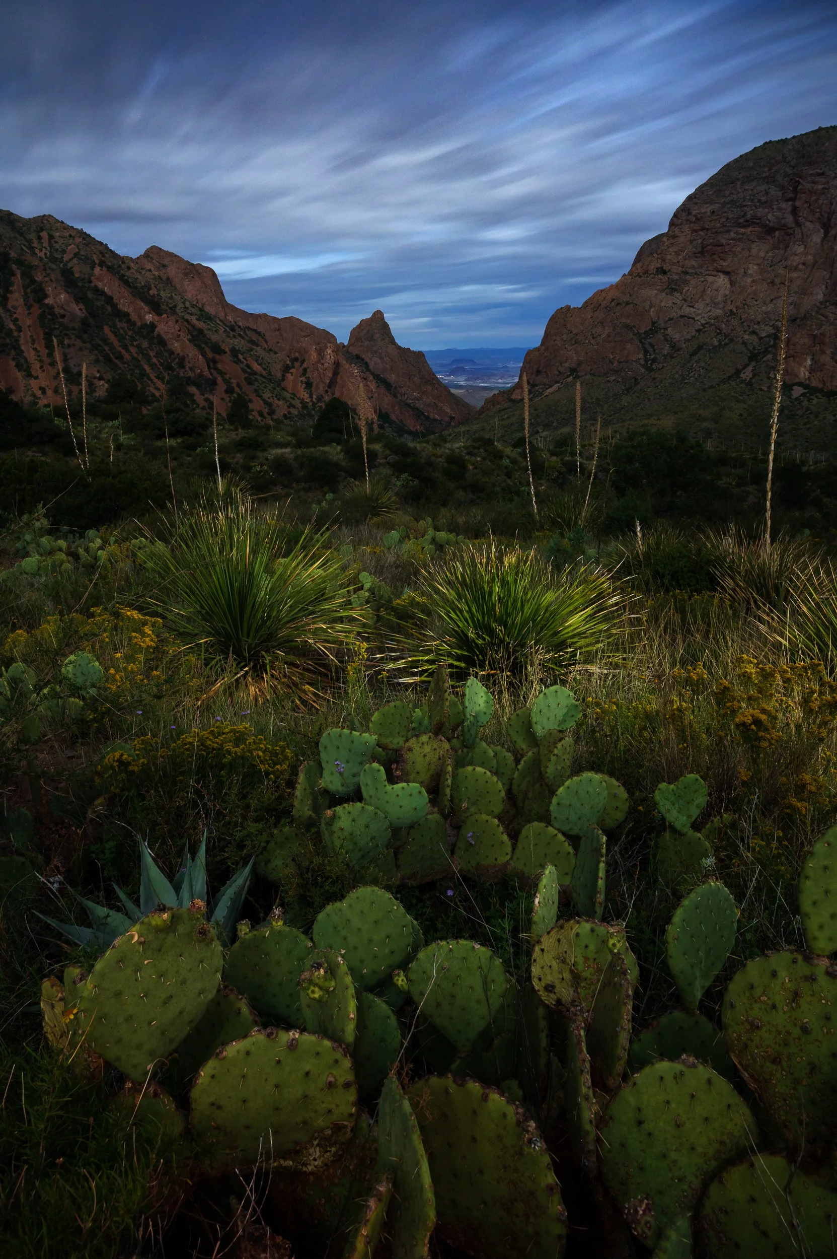 Night Photography Blog — National Parks at Night