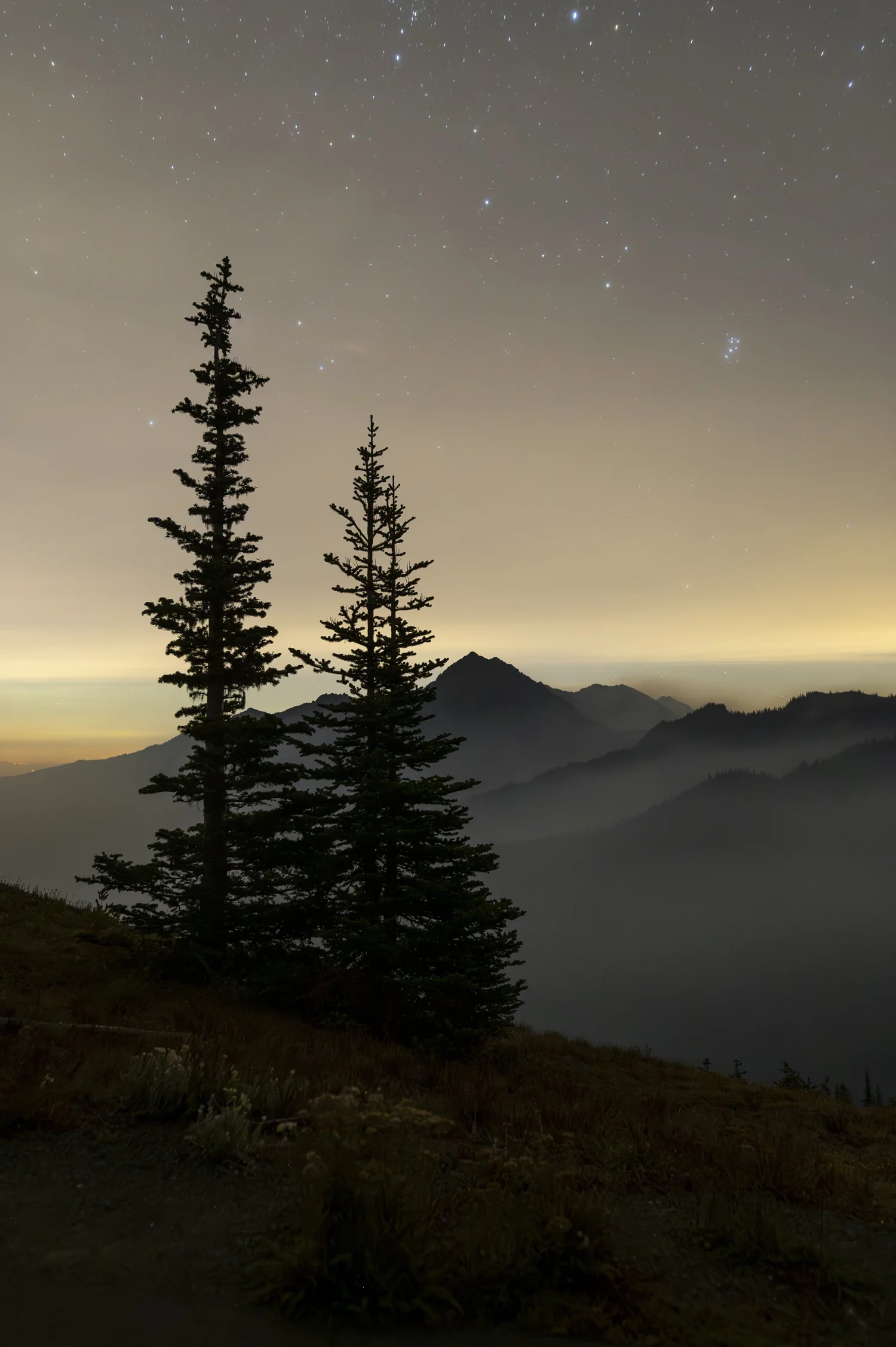 Night Photography Blog — National Parks at Night