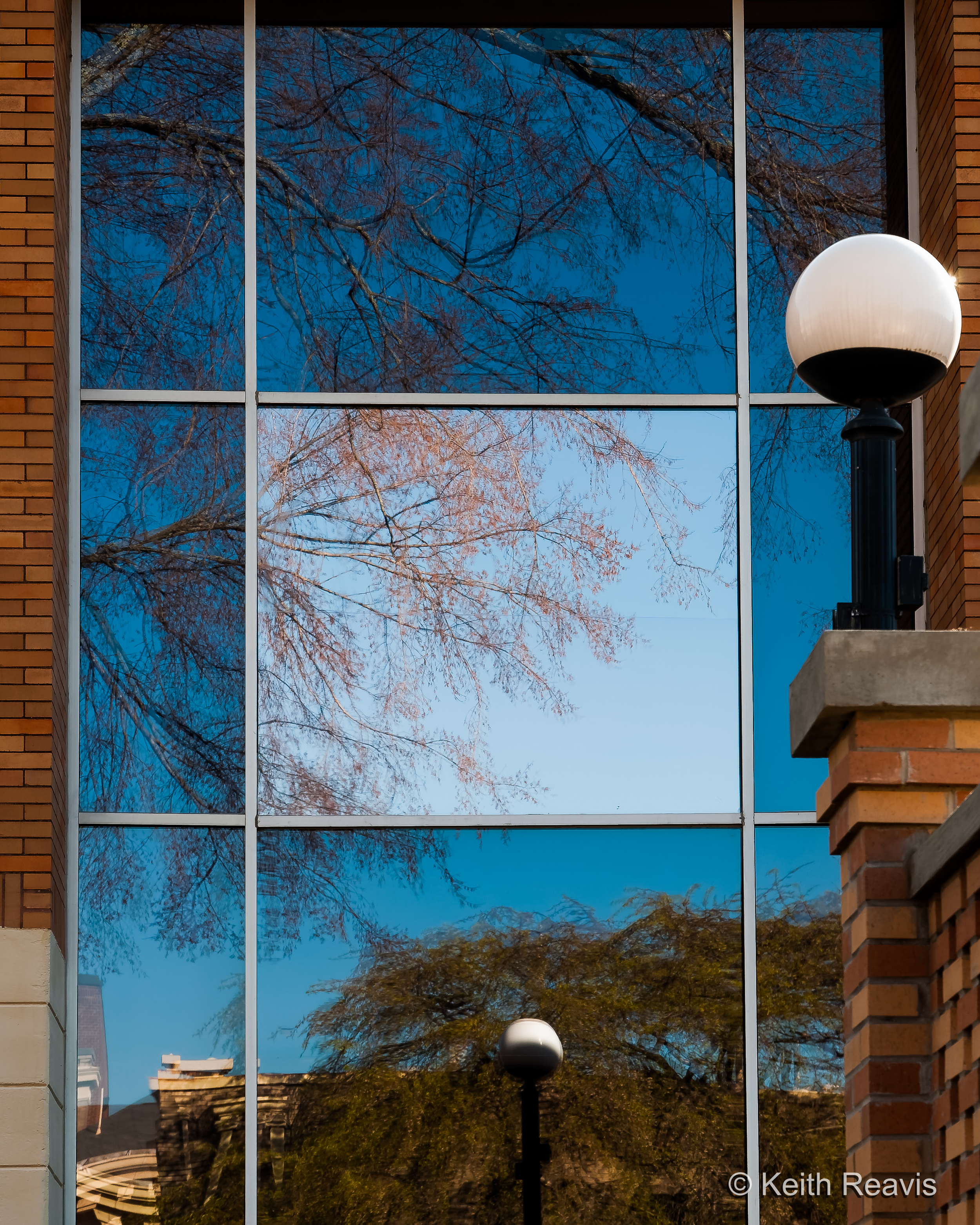 Window of Trees.jpg