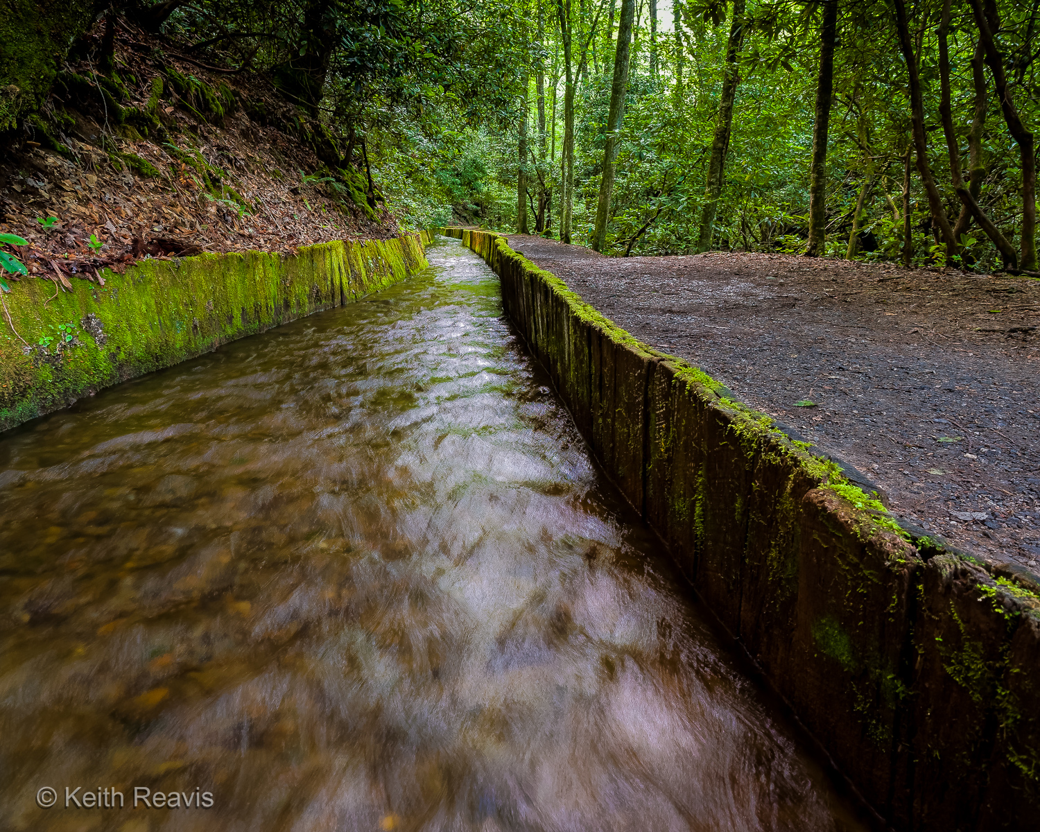 Millrace - Mingus Mill