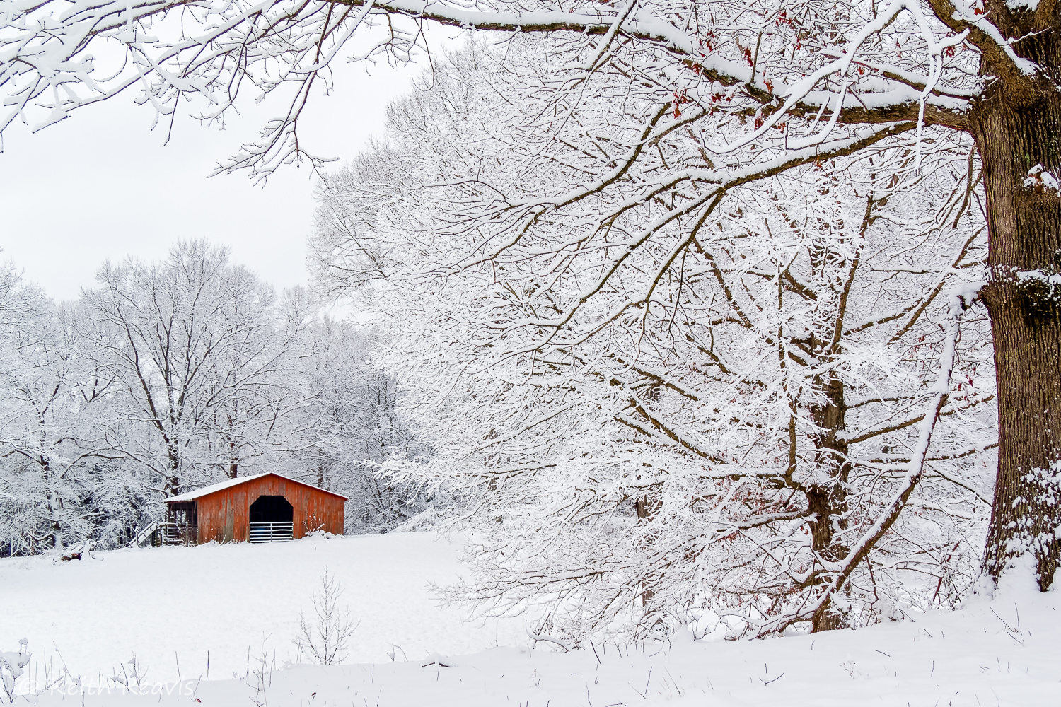 Red Barn in Snow (1 of 1).jpg