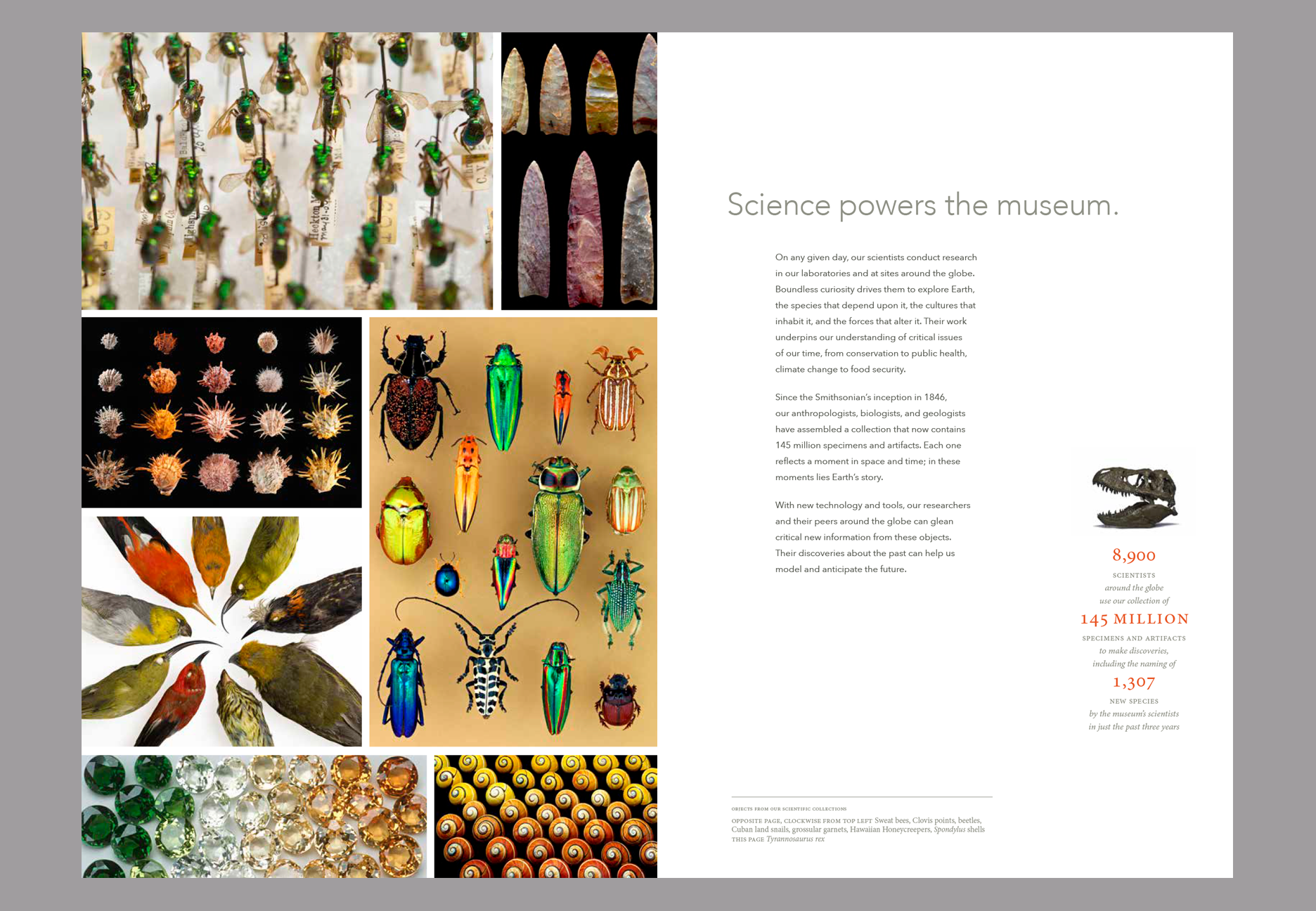 nmnh06.png