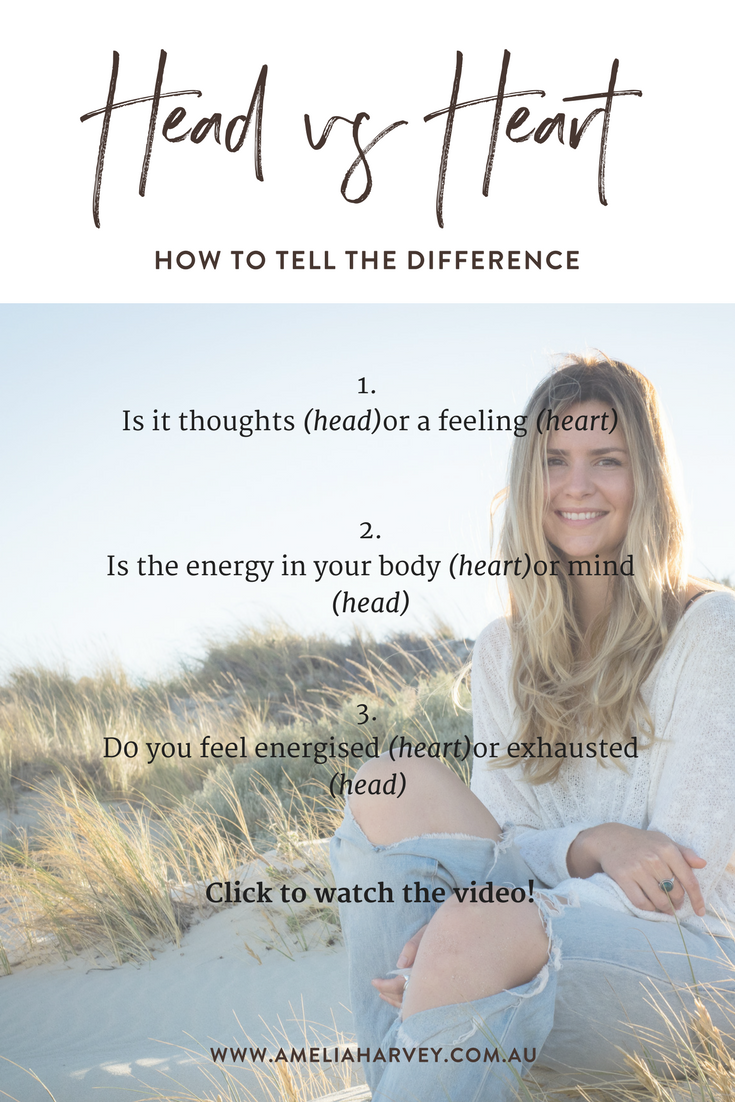 How to tell the difference between your head and your heart by Amelia Harvey, Life Coach.png