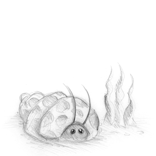 Creatures Great and Small