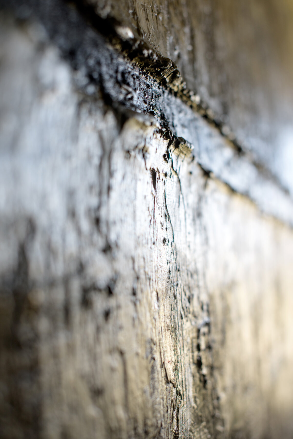 Beyond the Bend of Light [Detail]