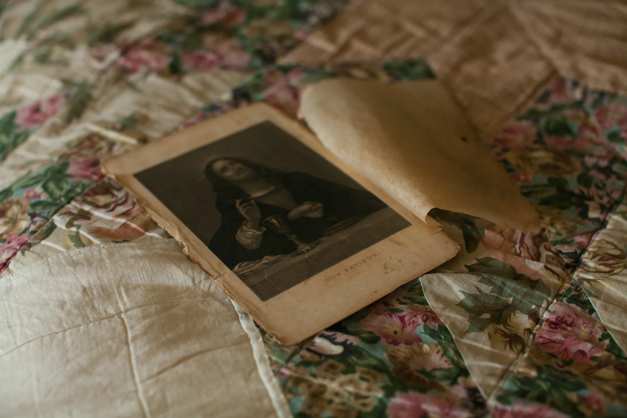The Very Old Book 2015