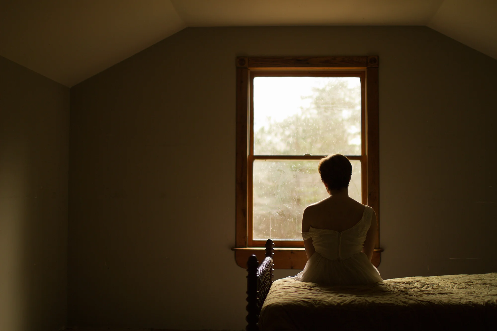 The Window