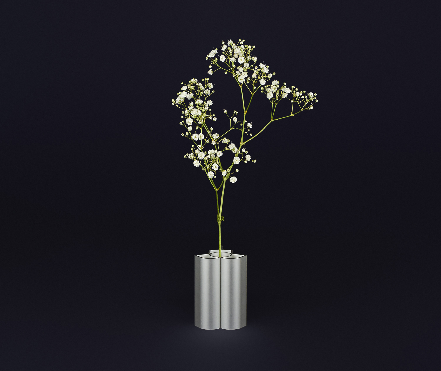 BARBADINE_ALU012391 soliflore petit.jpg