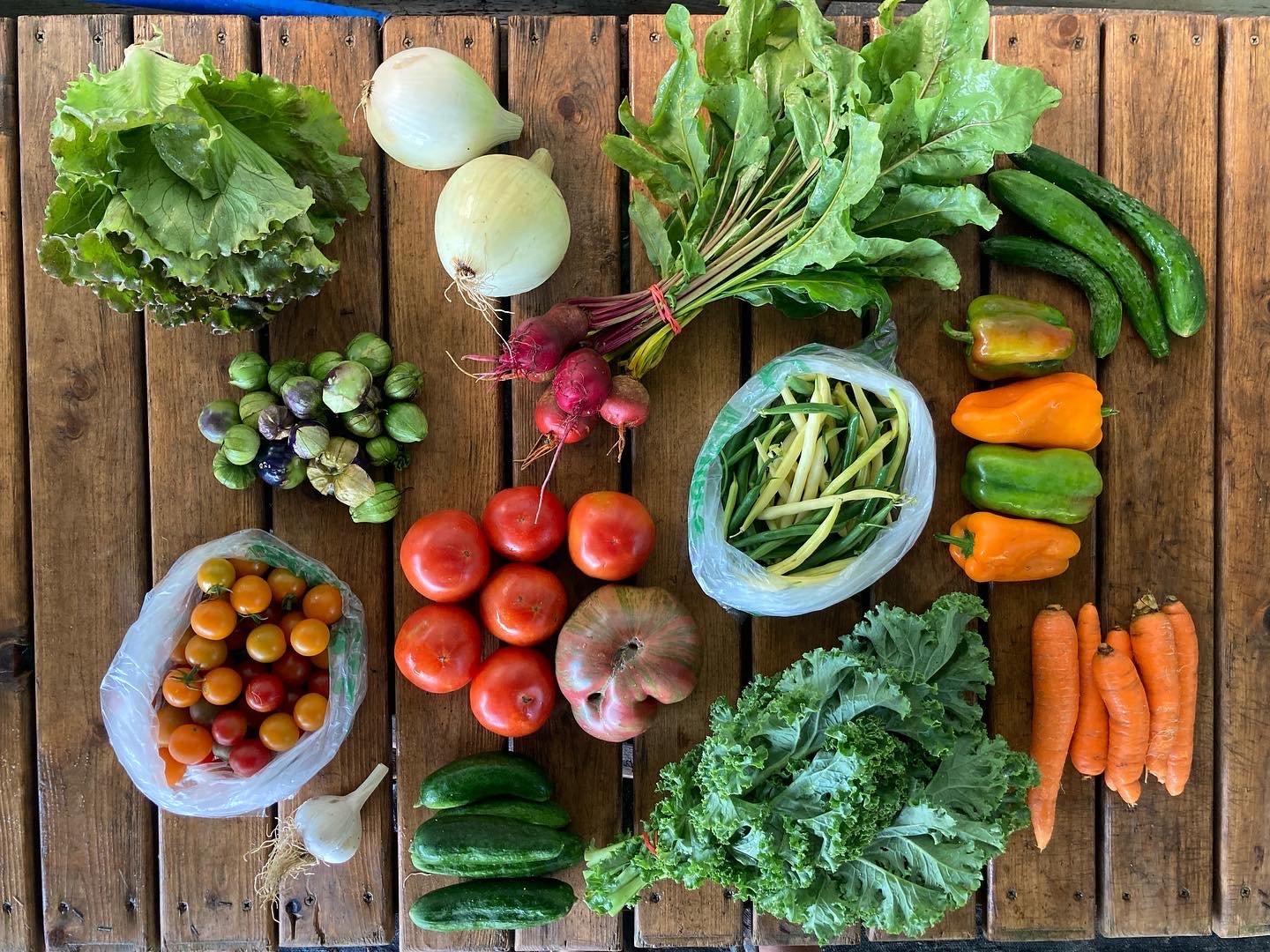 CC273291-1CE6-4D76-A8AD-852FDA807727 (1).JPG