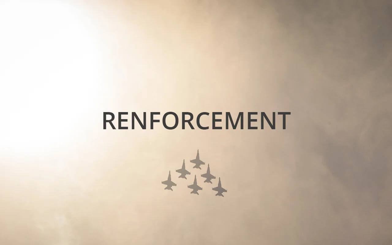 renforcement.jpg