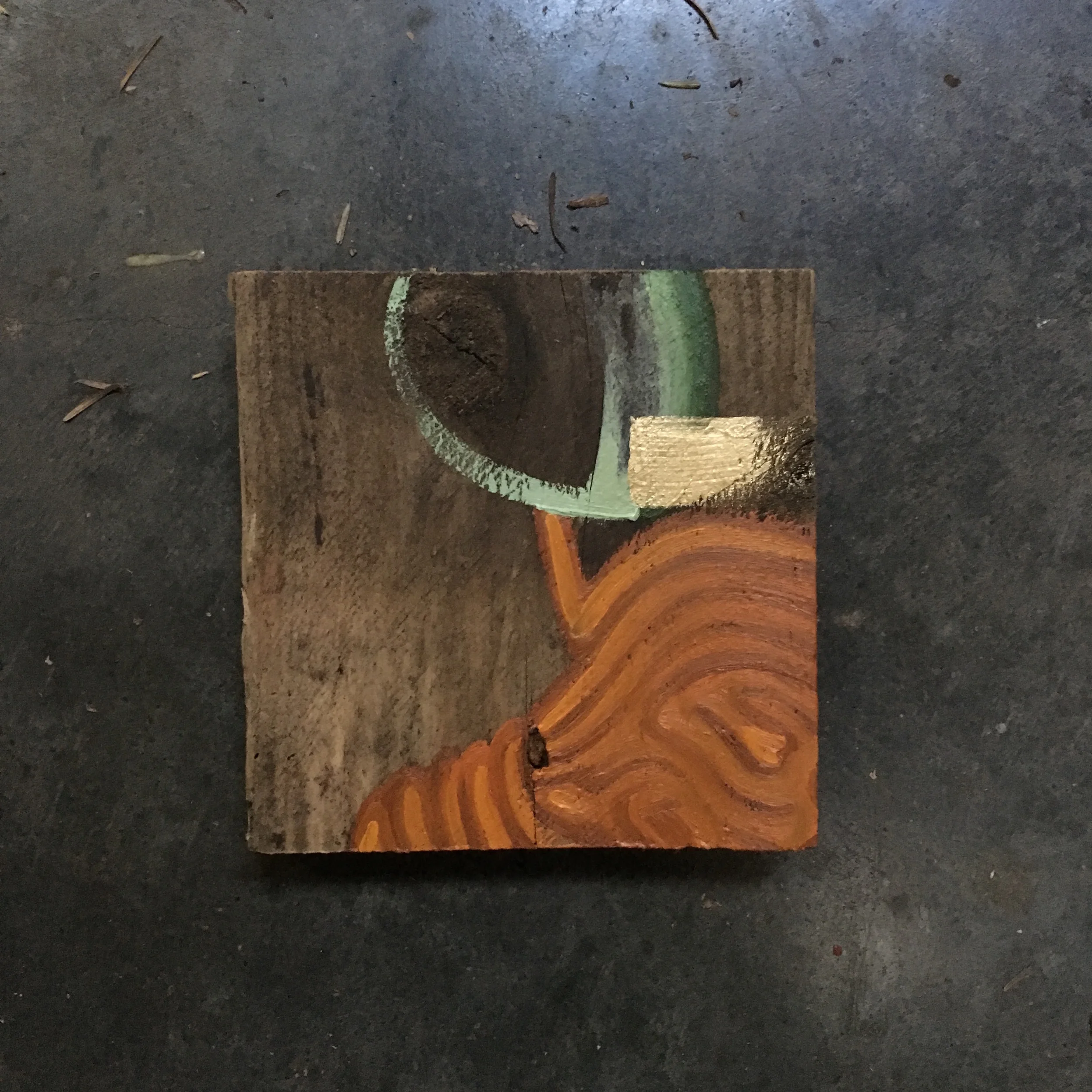 praecordia notatia 2