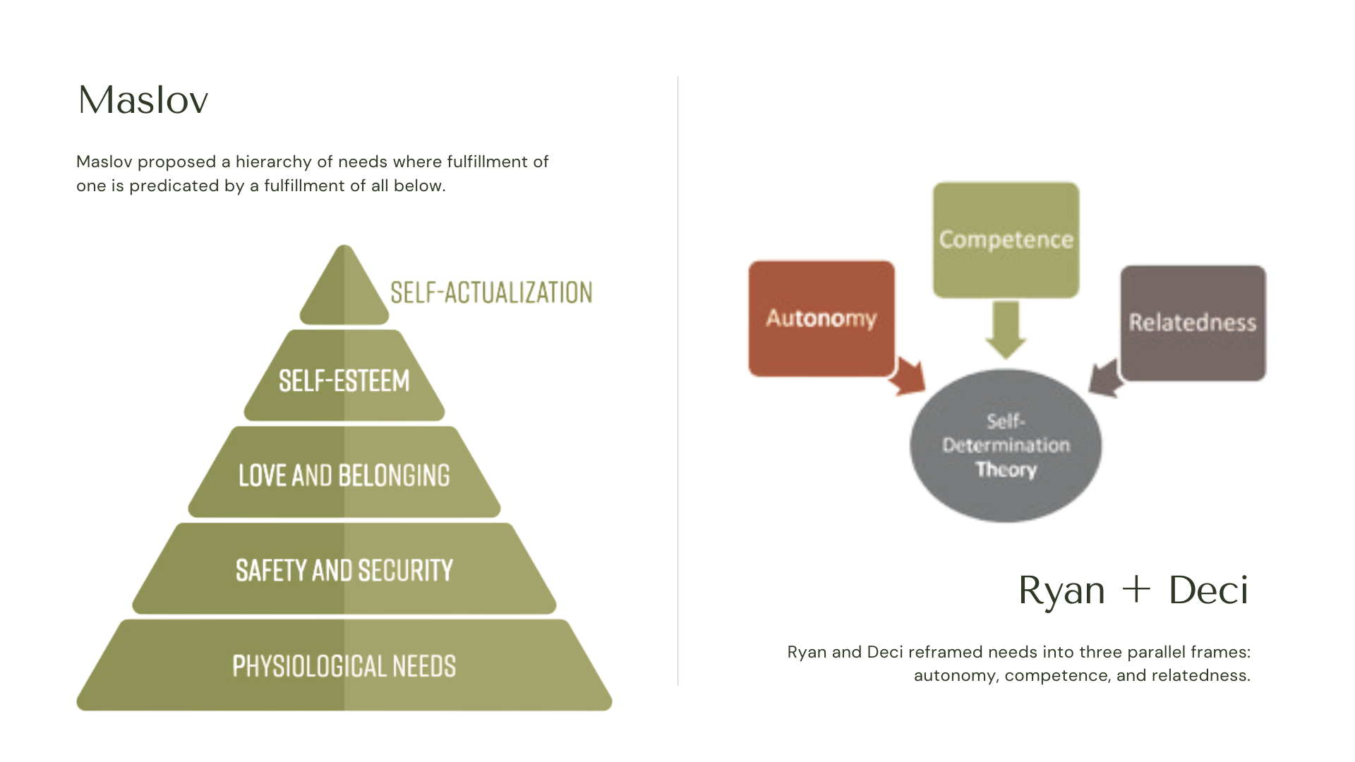measuring exercise motivation using the BREQ-3 assessment.png
