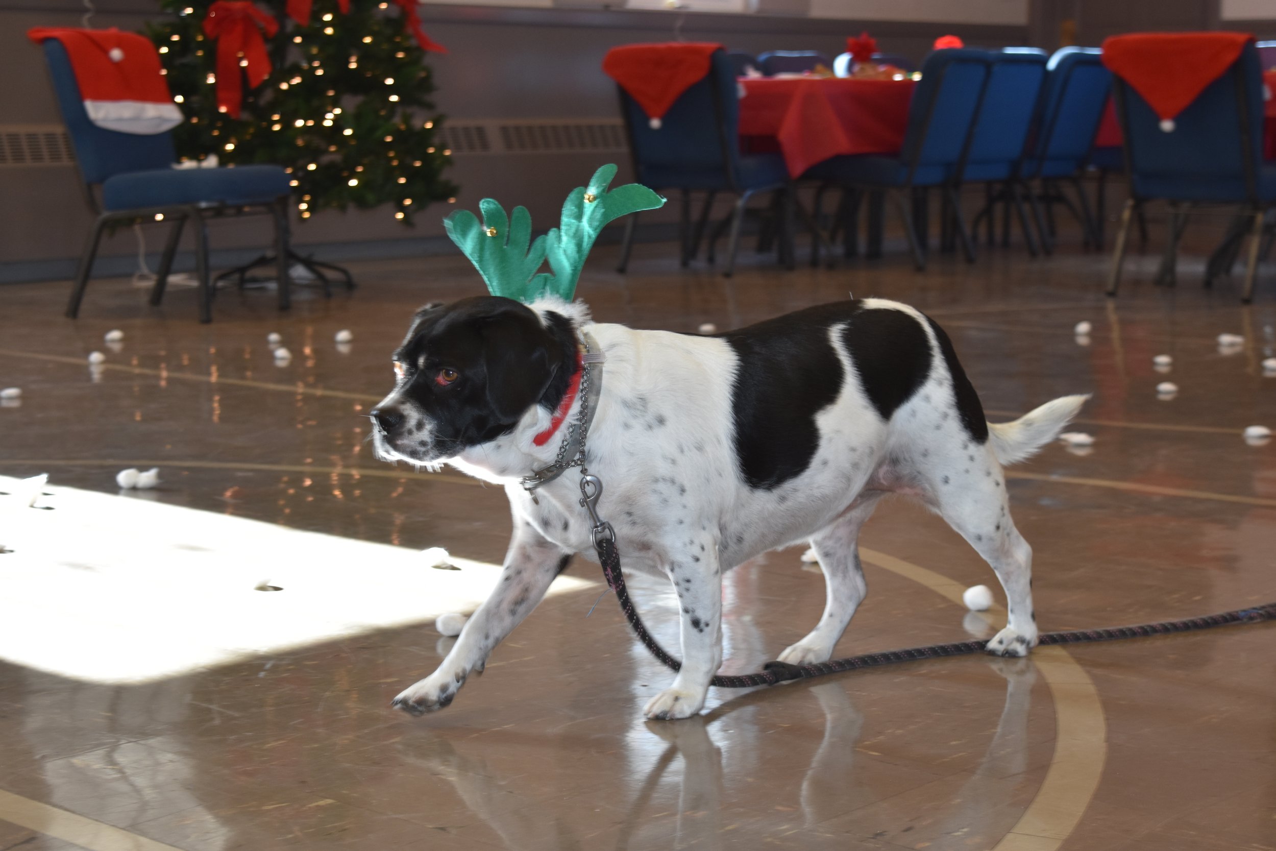 DSC_5682.JPG