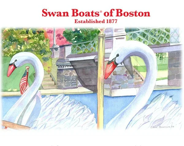 swan boats boston.jpg