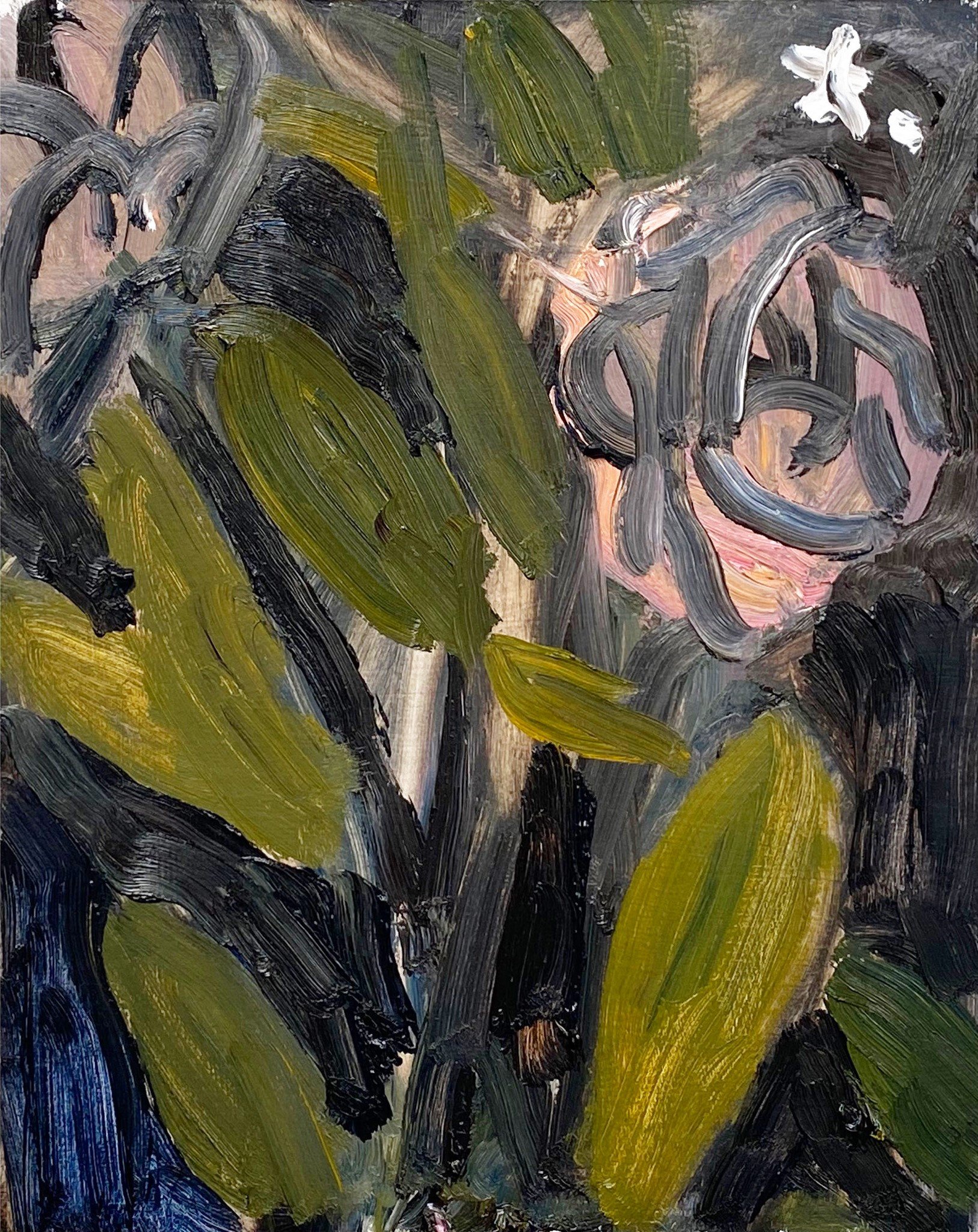 "Roser og Stjerne" Oil on panel. 50 x 40cm. 2023