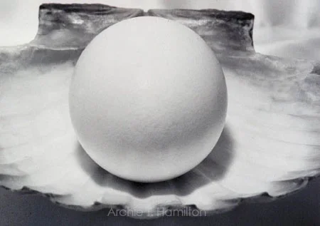 egg_Sspace.jpg