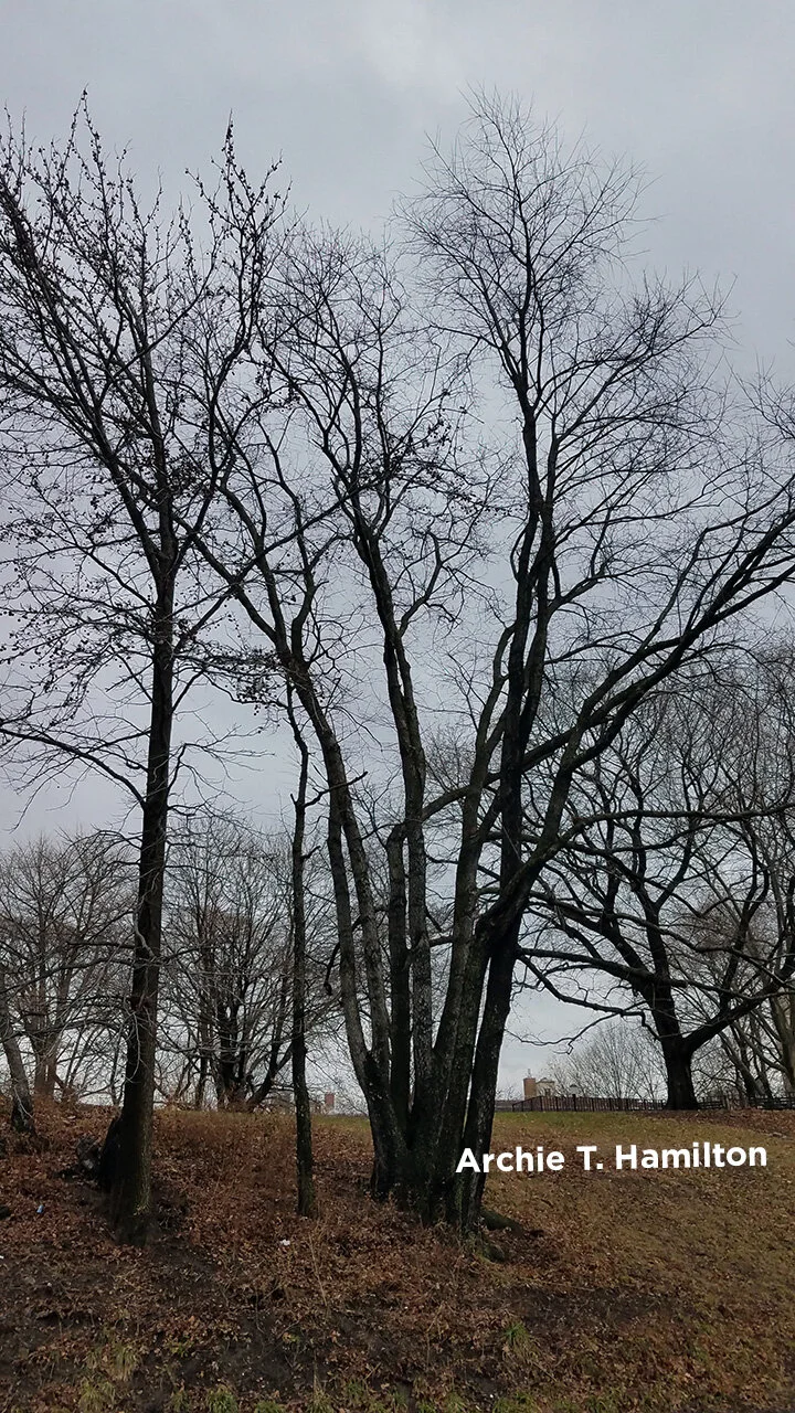 20191231_115659-V1web.jpg