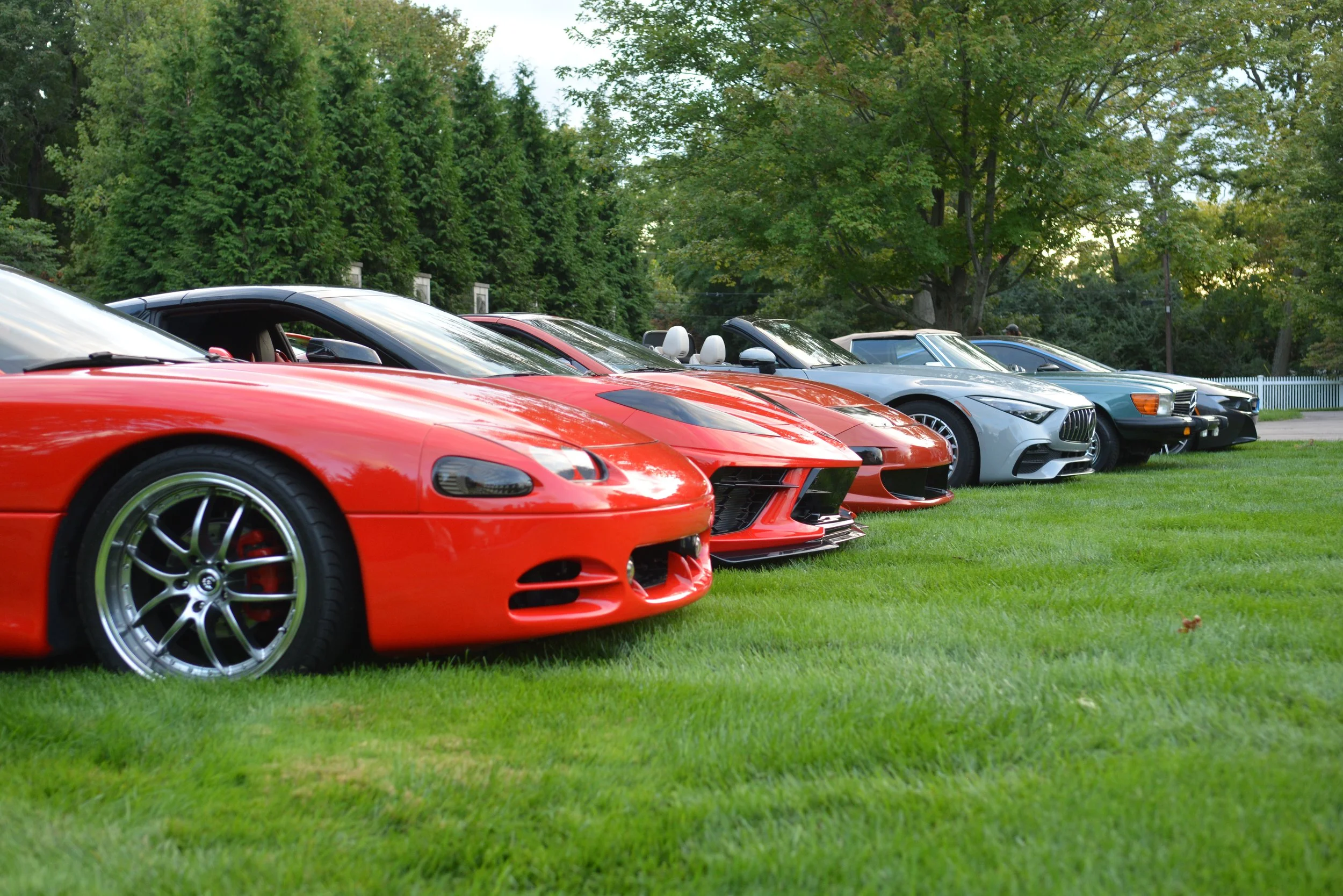 DSC_9560.jpg