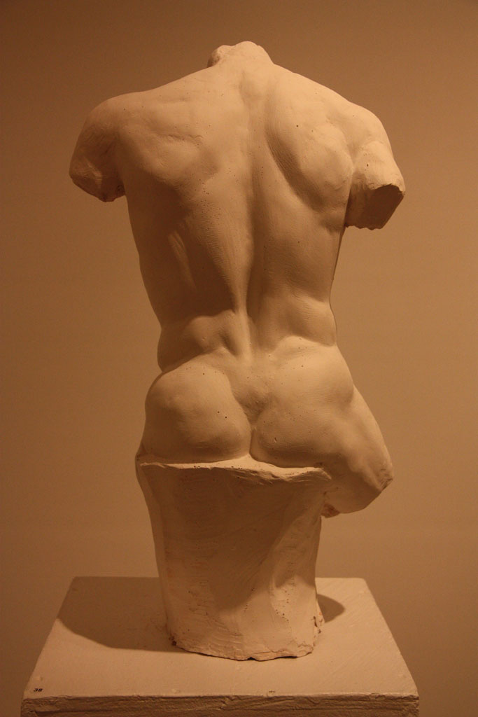 Torso