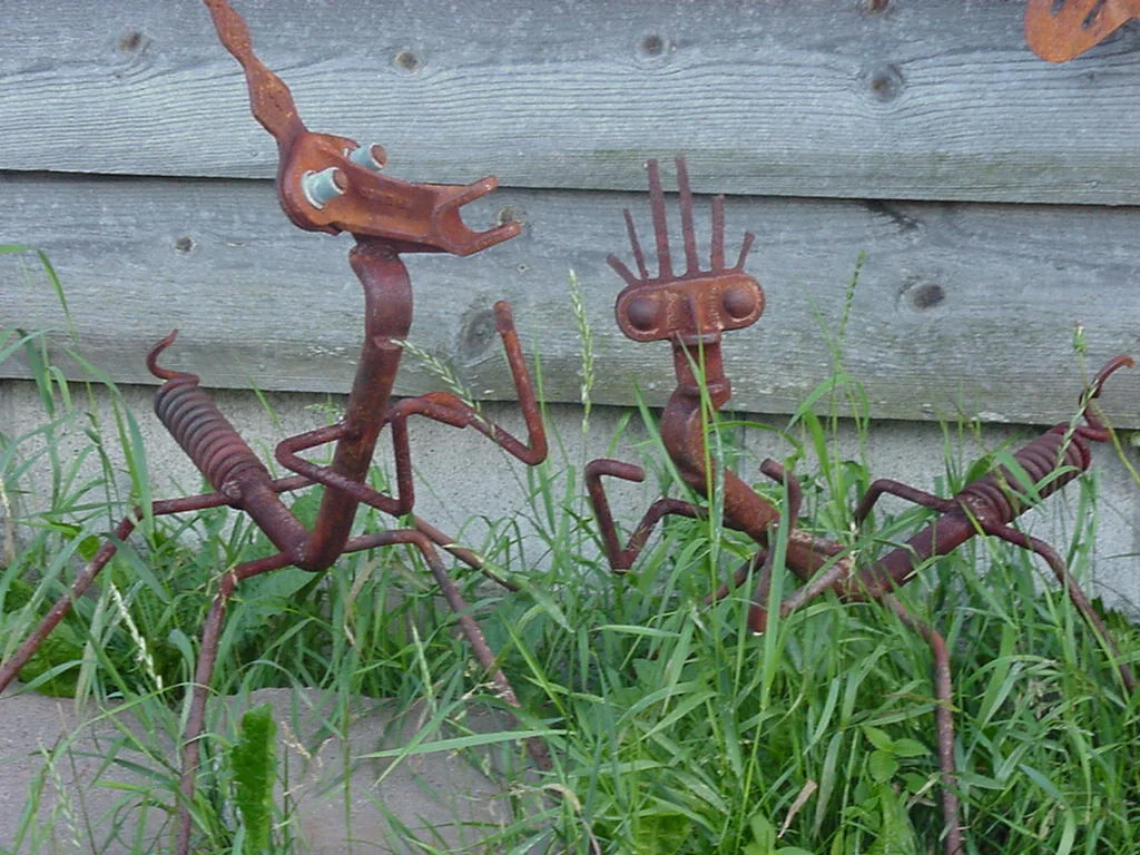 garden guard.JPG