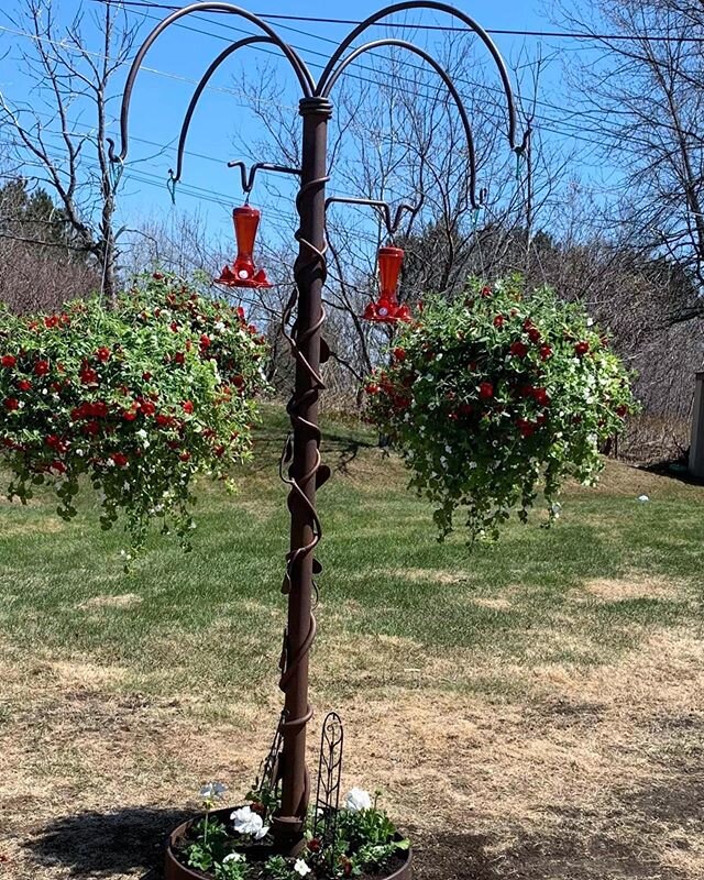 Happy customer with hanging flowers.

#achillwindsmetalart #springflowers #metalartist #mnartist #metalsculpture #metalart