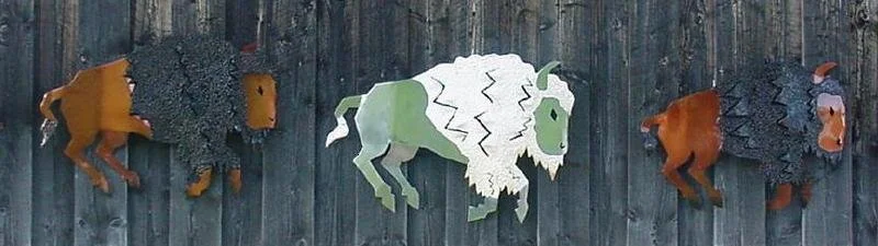 buffaloall3 (2).JPG