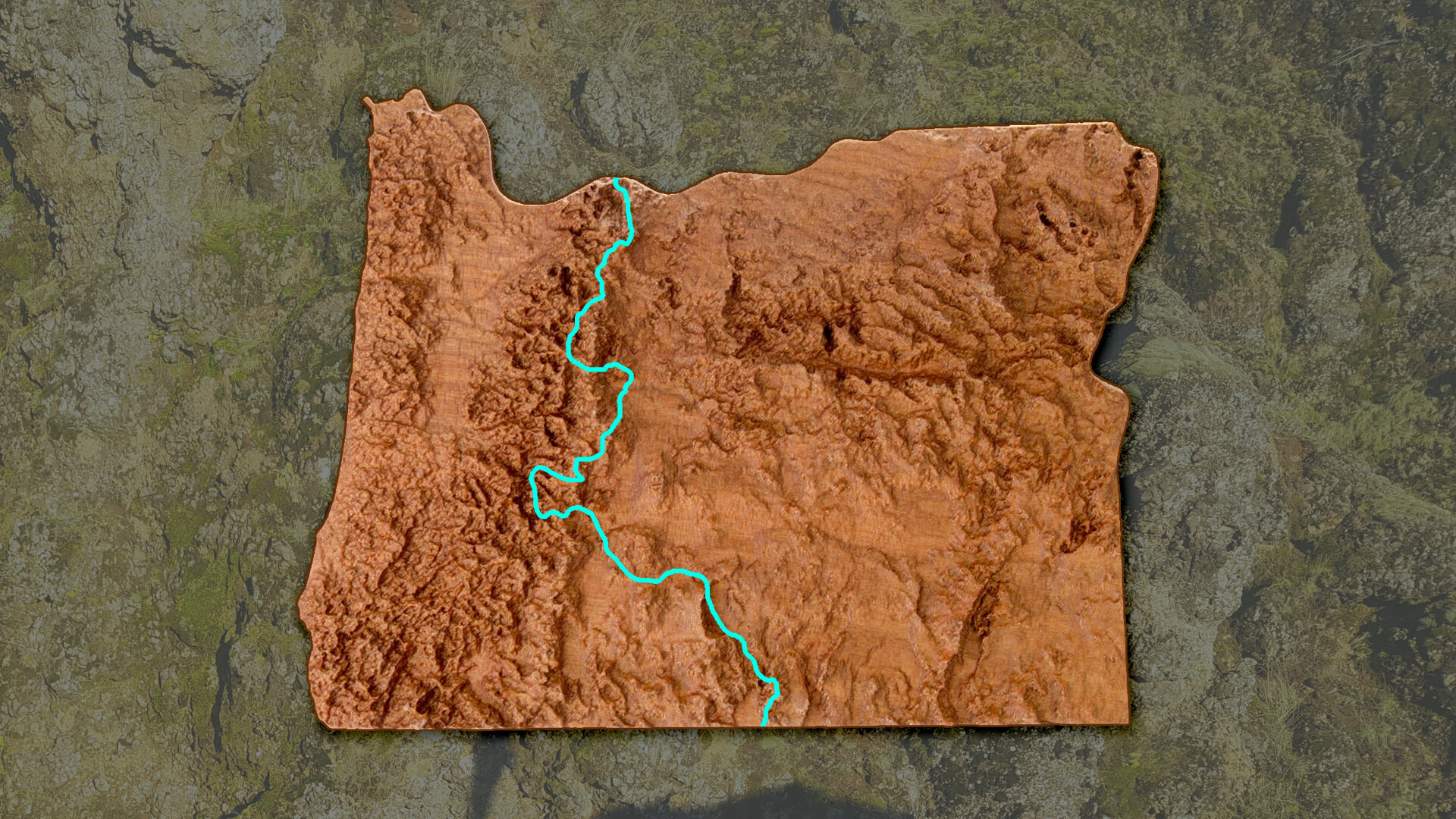 Support the Oregon Timber Trail Alliance