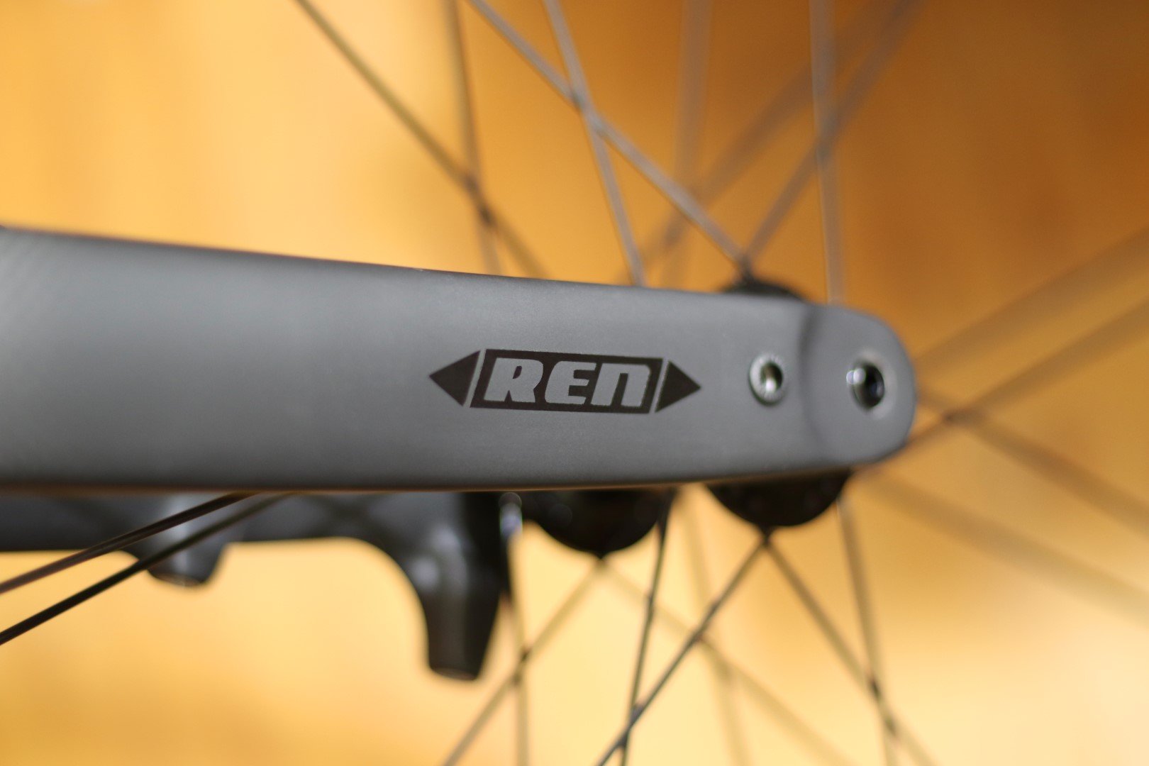 REN CARBON FORKS